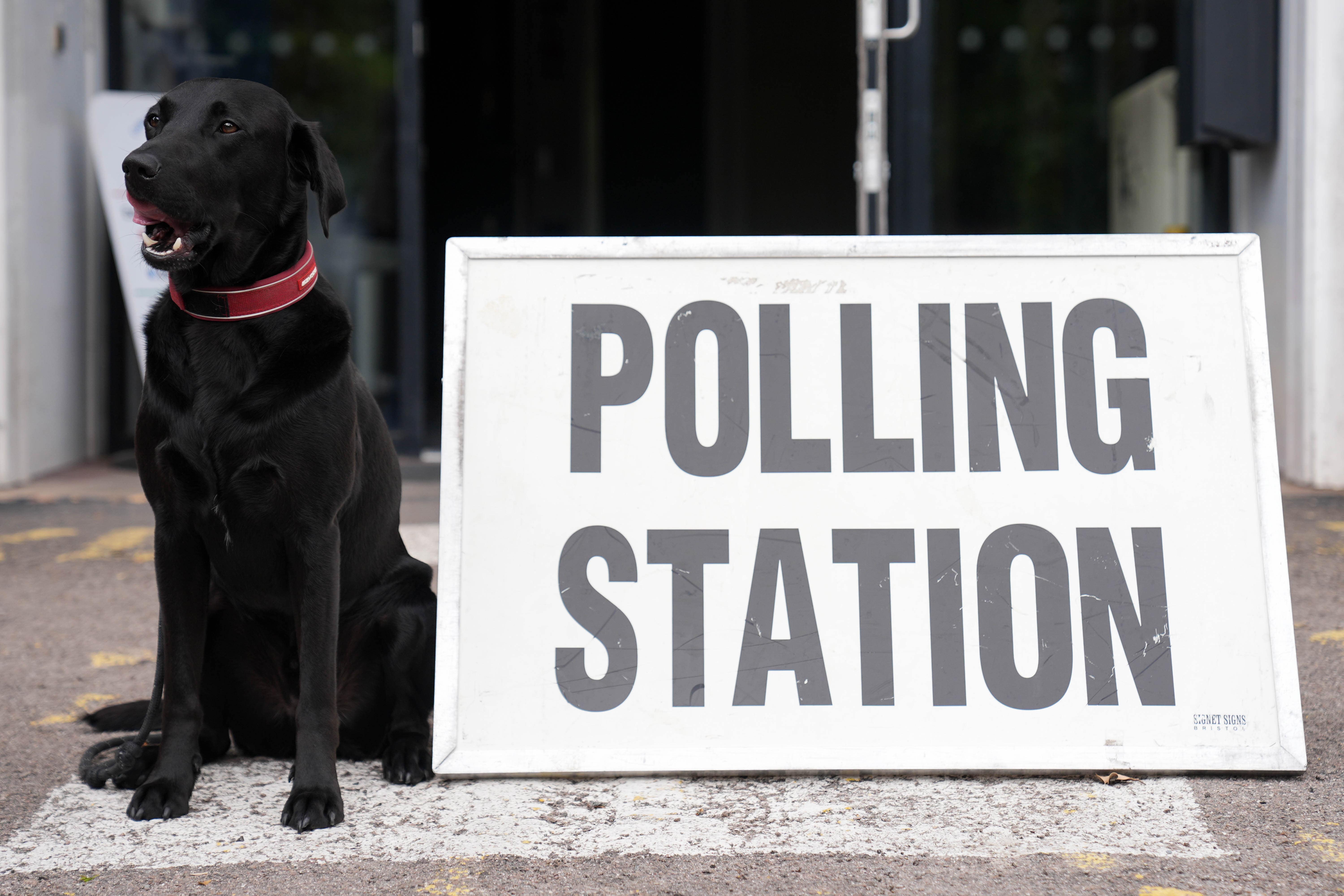 A black Labrador outside a polling station as final preparations are made for the 2025 local elections (Jacob King/PA Wire)
