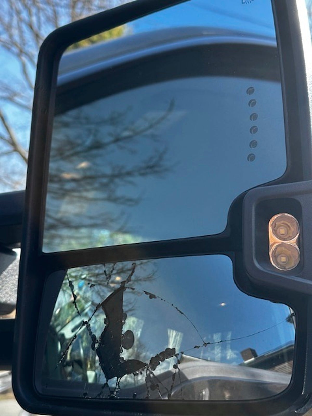 A vehicle's side mirror was broken by a rogue woodpecker