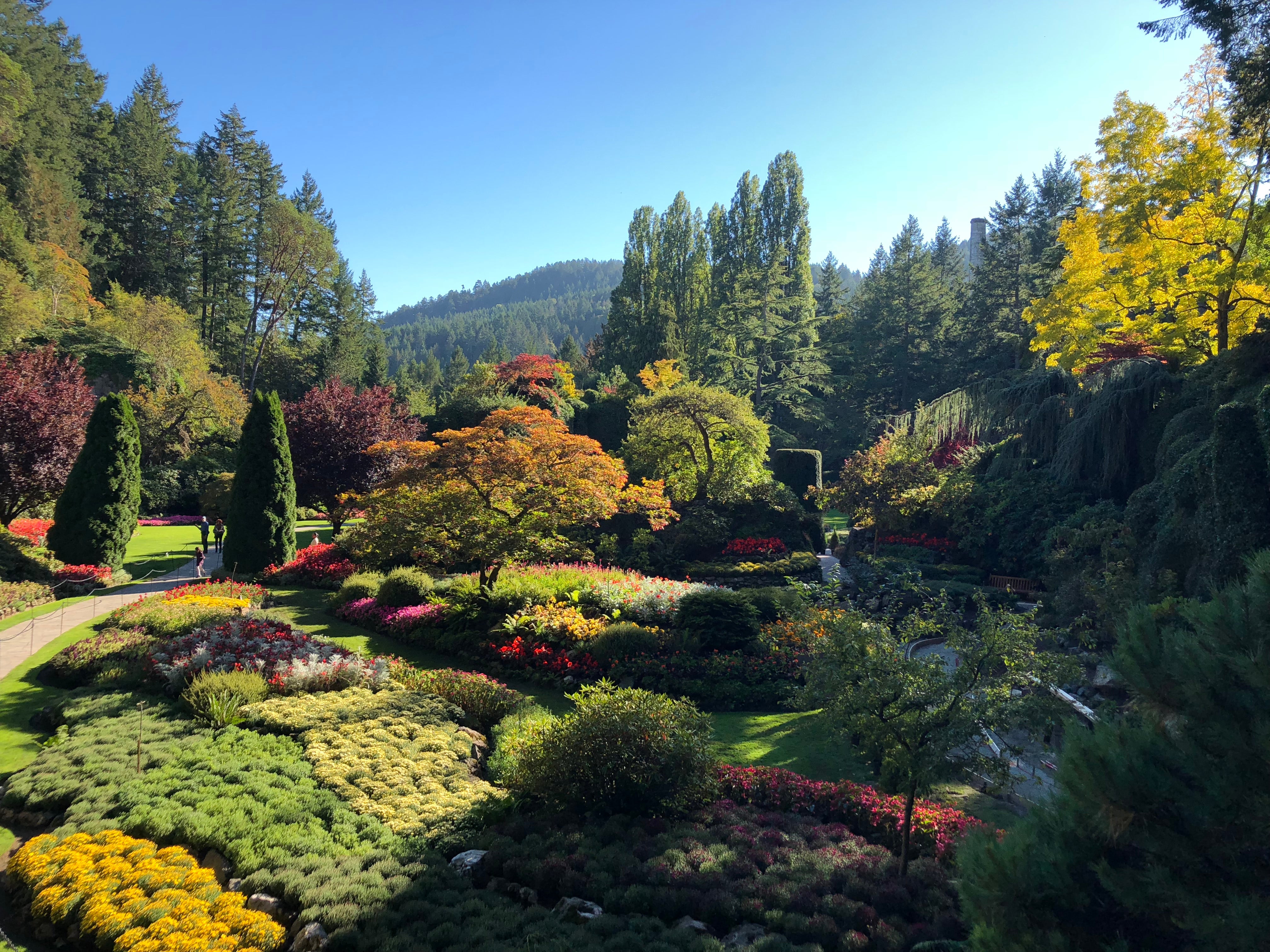 Victoria’s Butchart Gardens – 55 acres of horticultural magnificence