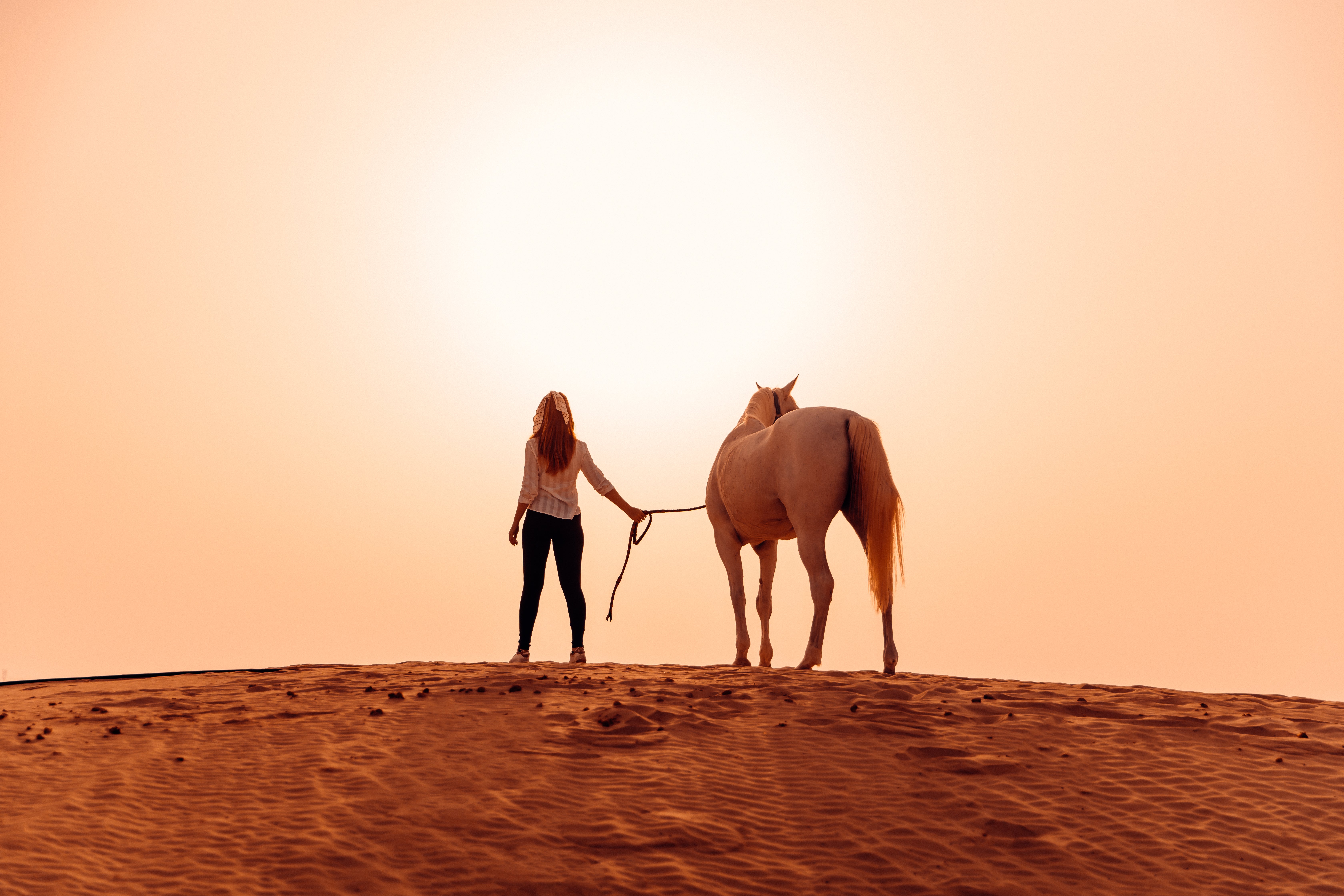 Get up close and personal with Arabian horses at Al Wathba Resort & Spa