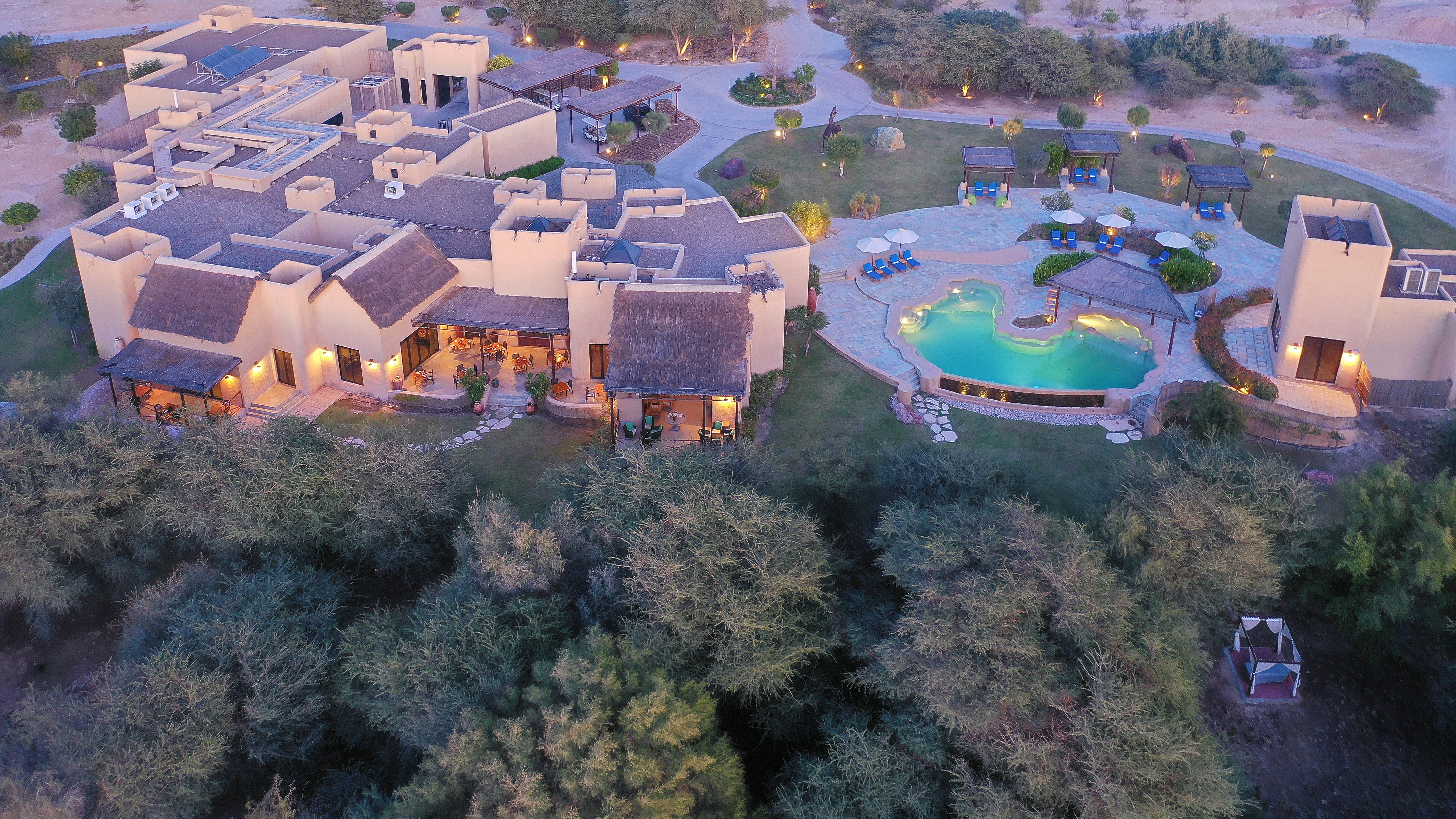 Are your kids animal fanatics dreaming of a safari-themed escape? Pair this with a poolside holiday at Anantara Sir Bani Yas Island