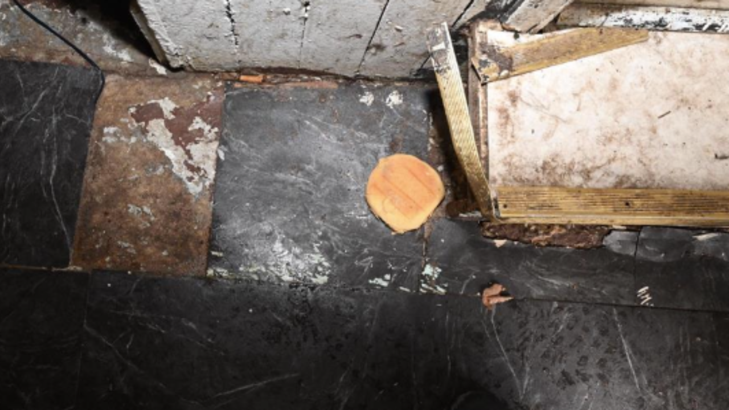 The pictures taken inside the house showed a serial hook hanging in the basement and a piece of bread