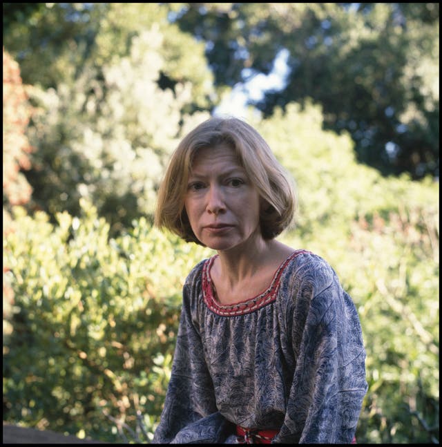 <p>The writer’s posthumous book paints a ‘charcoal portrait of a writer and a mother at the end of her tether’</p>