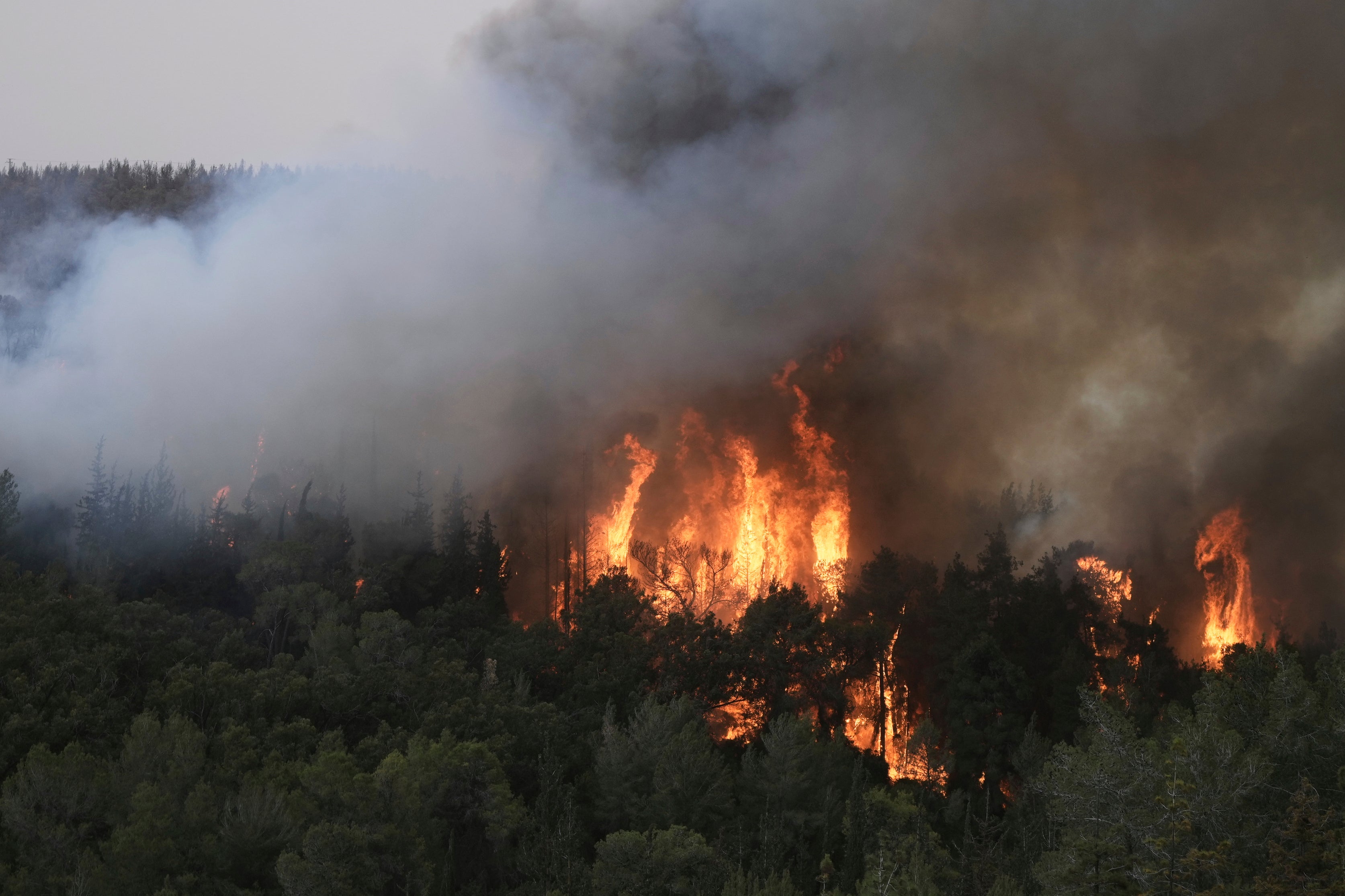 A forest fire burn near Jerusalem, Wednesday 30 April 2025