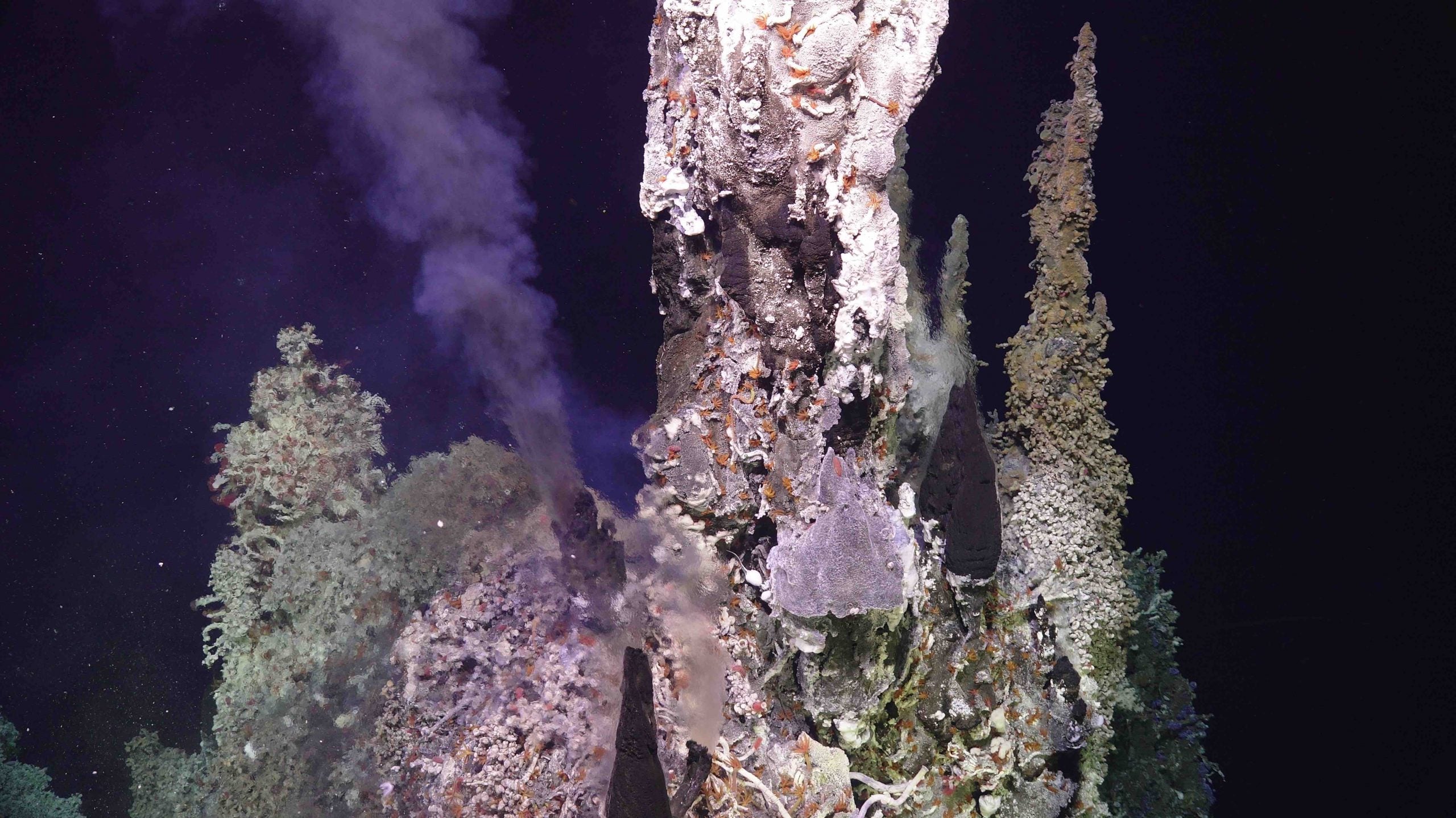 The Axial Seamount is prime to erupt, scientists say. The question remains: when?