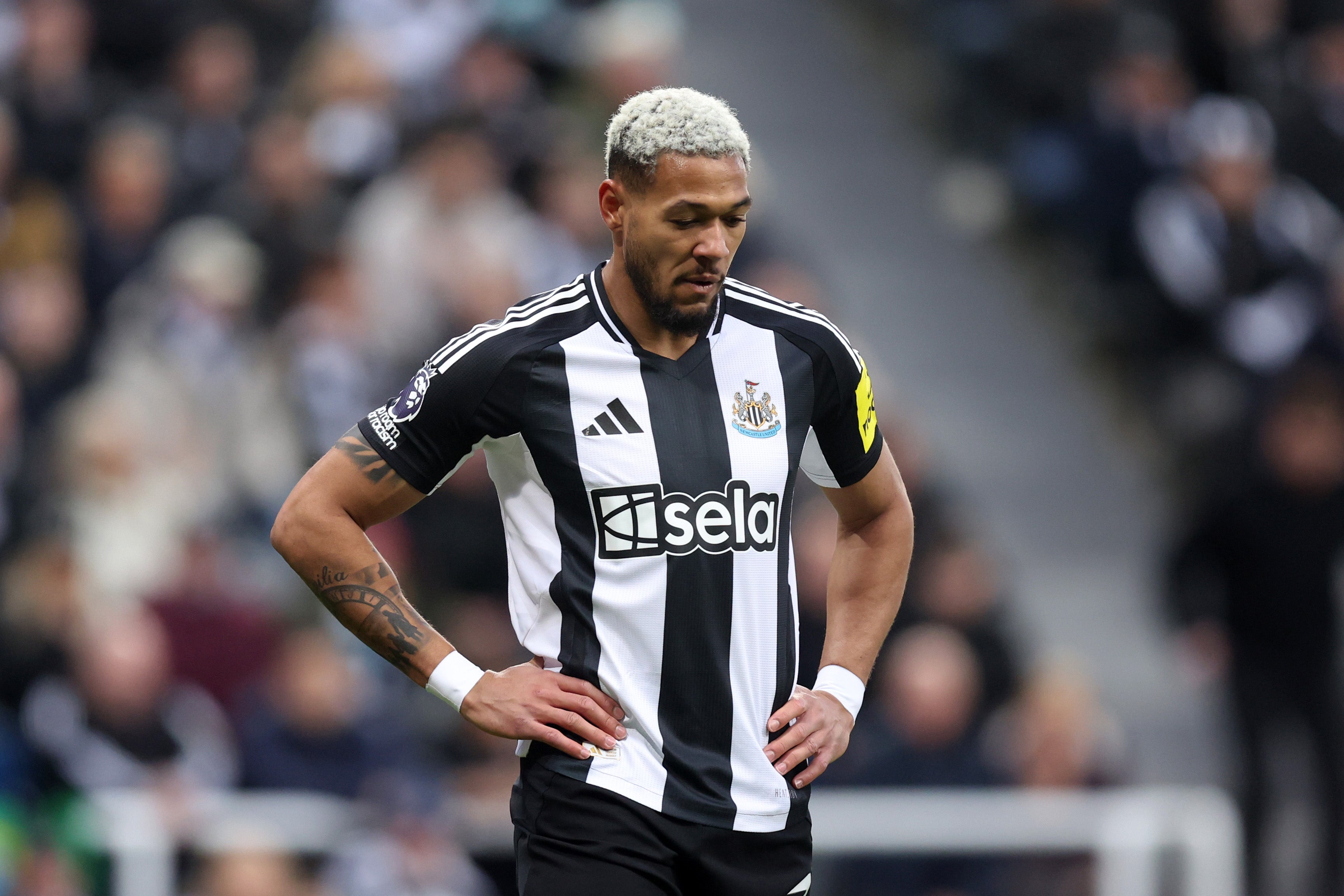 <p>Joelinton could miss Newcastle's four remaining games</p>