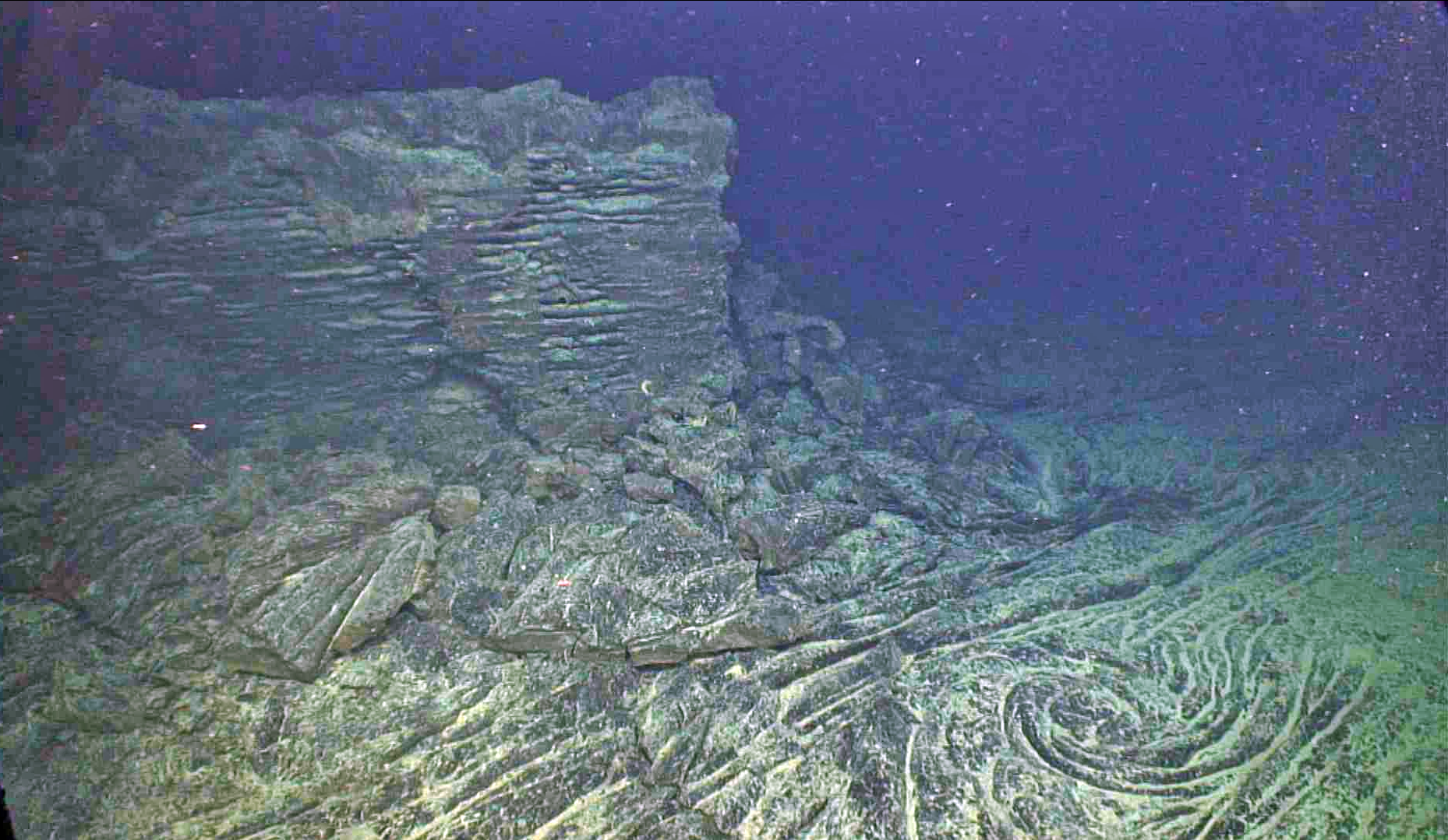 A fossilized whirl in a lava lake that was active during the April 2011 eruption of Axial Seamount