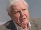 David Attenborough pinpoints location that will ‘save our world’ as he nears ‘end of his life’