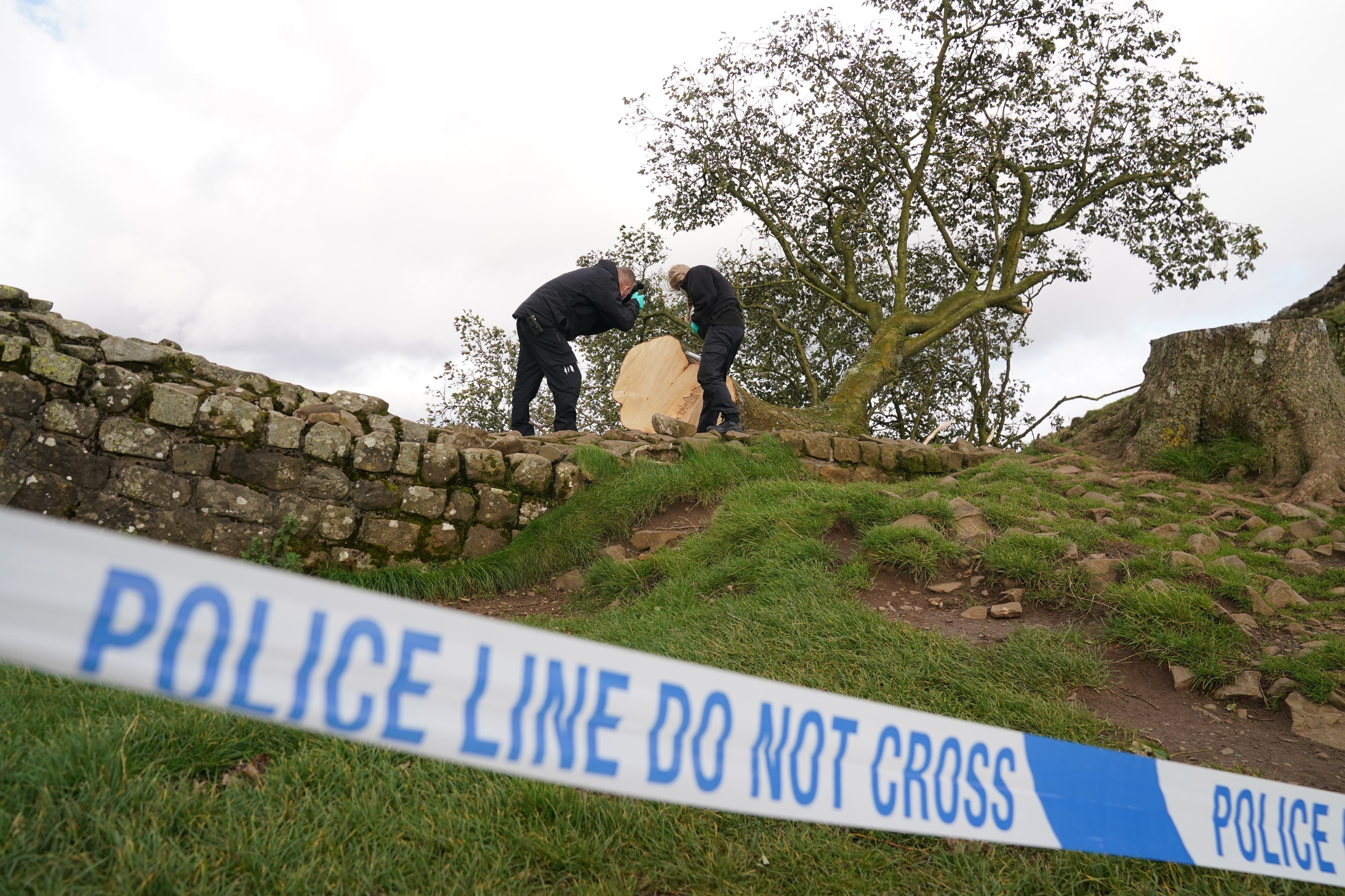 File photo dated 29/09/23 of forensic investigators from Northumbria Police examining the felled Sycamore Gap tree, on Hadrian’s Wall in Northumberland. Daniel Graham, 39, and Adam Carruthers, 32, are on trial at Newcastle Crown Court charged with two counts each of criminal damage. They are jointly charged with causing criminal damage worth �622,191 to the much-photographed Northumberland tree. Issue date: Tuesday April 29, 2025.