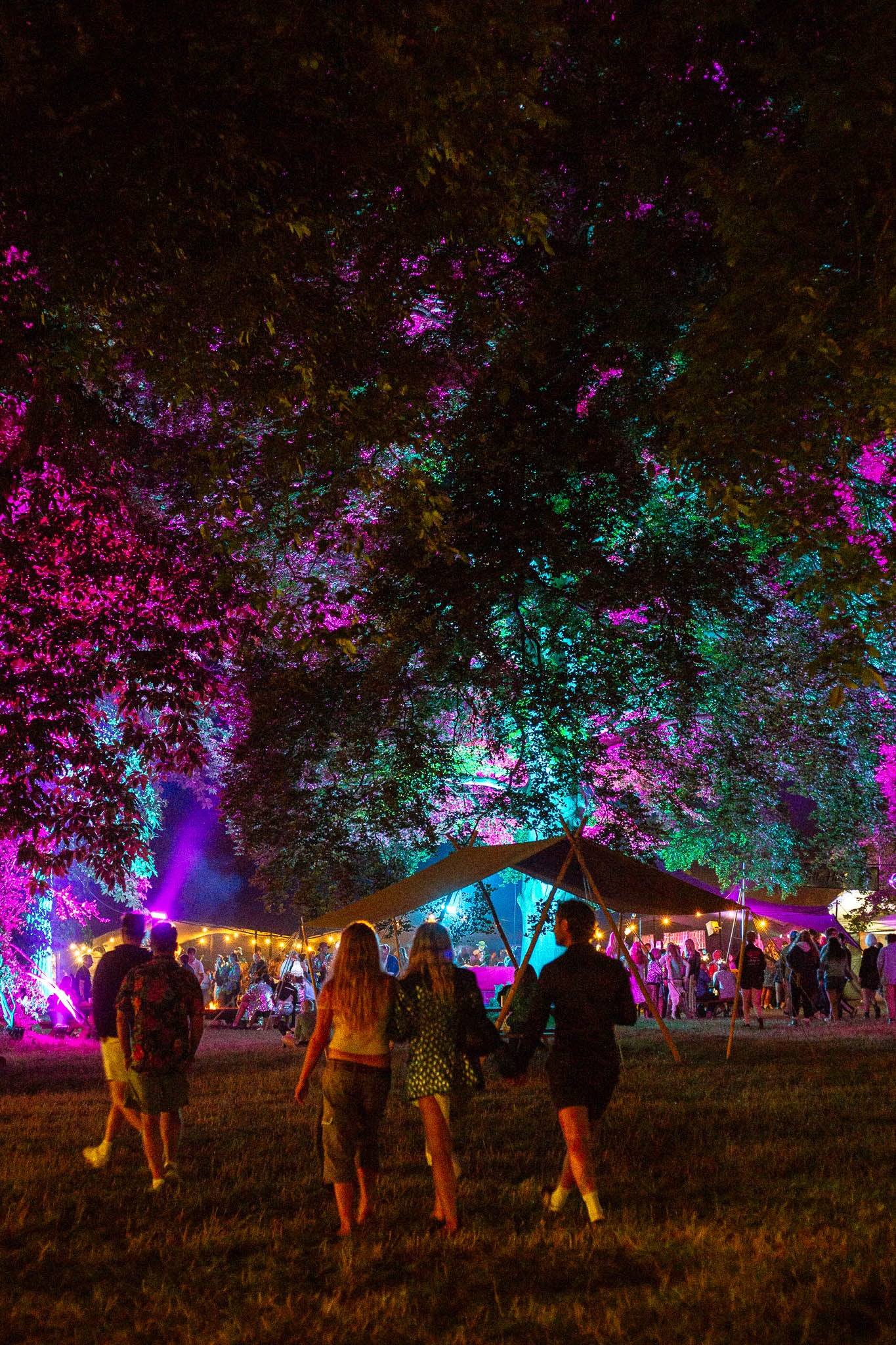 Guests enjoy beautiful surroundings at Wilderness Festival