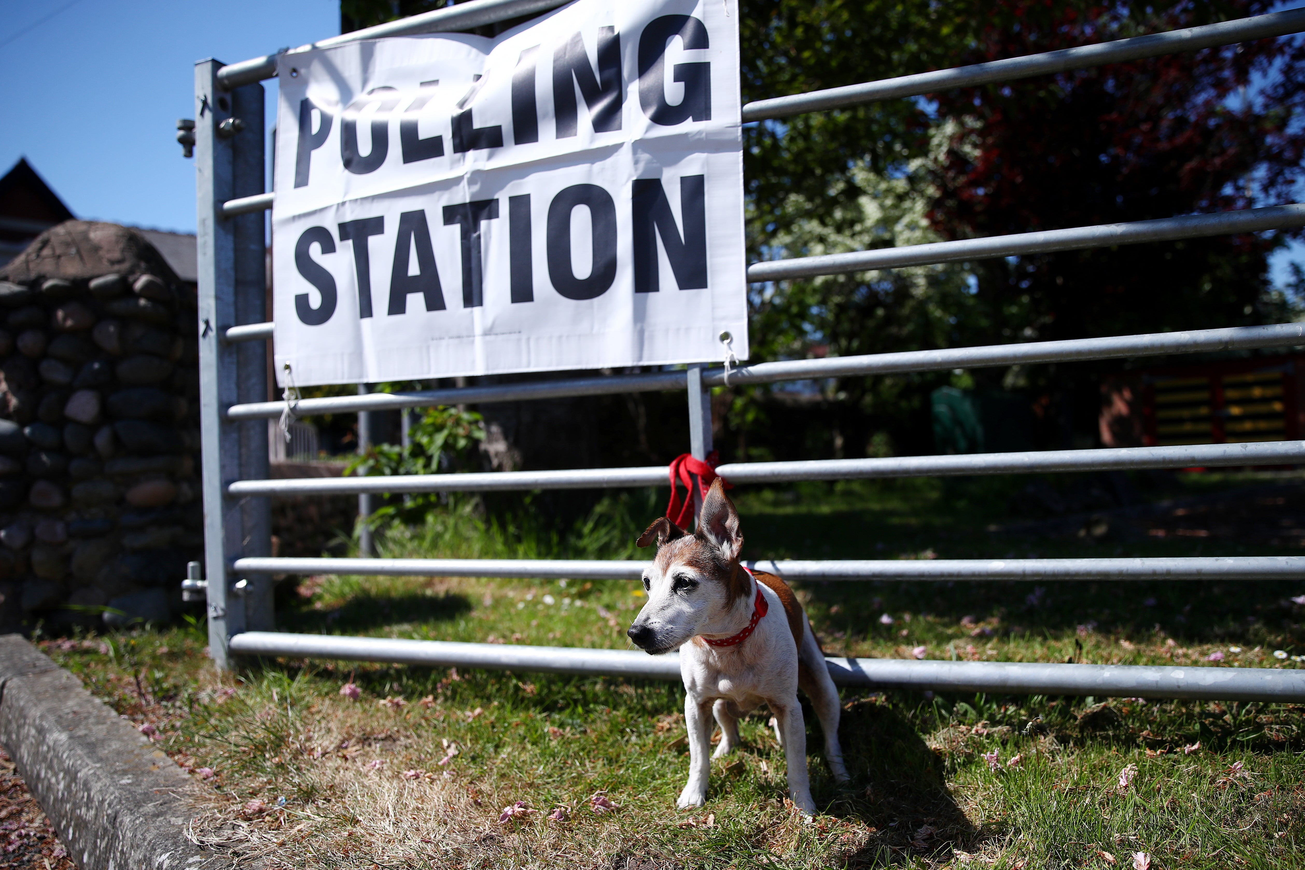 <p>Big losers: dogs who would otherwise be outside polling stations</p>