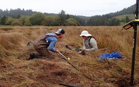 Brandon Hatcher and Tina Dura take geological core samples at an estuary in the Cascadia subduction zone. A great earthquake could wipe out coastal ecosystems