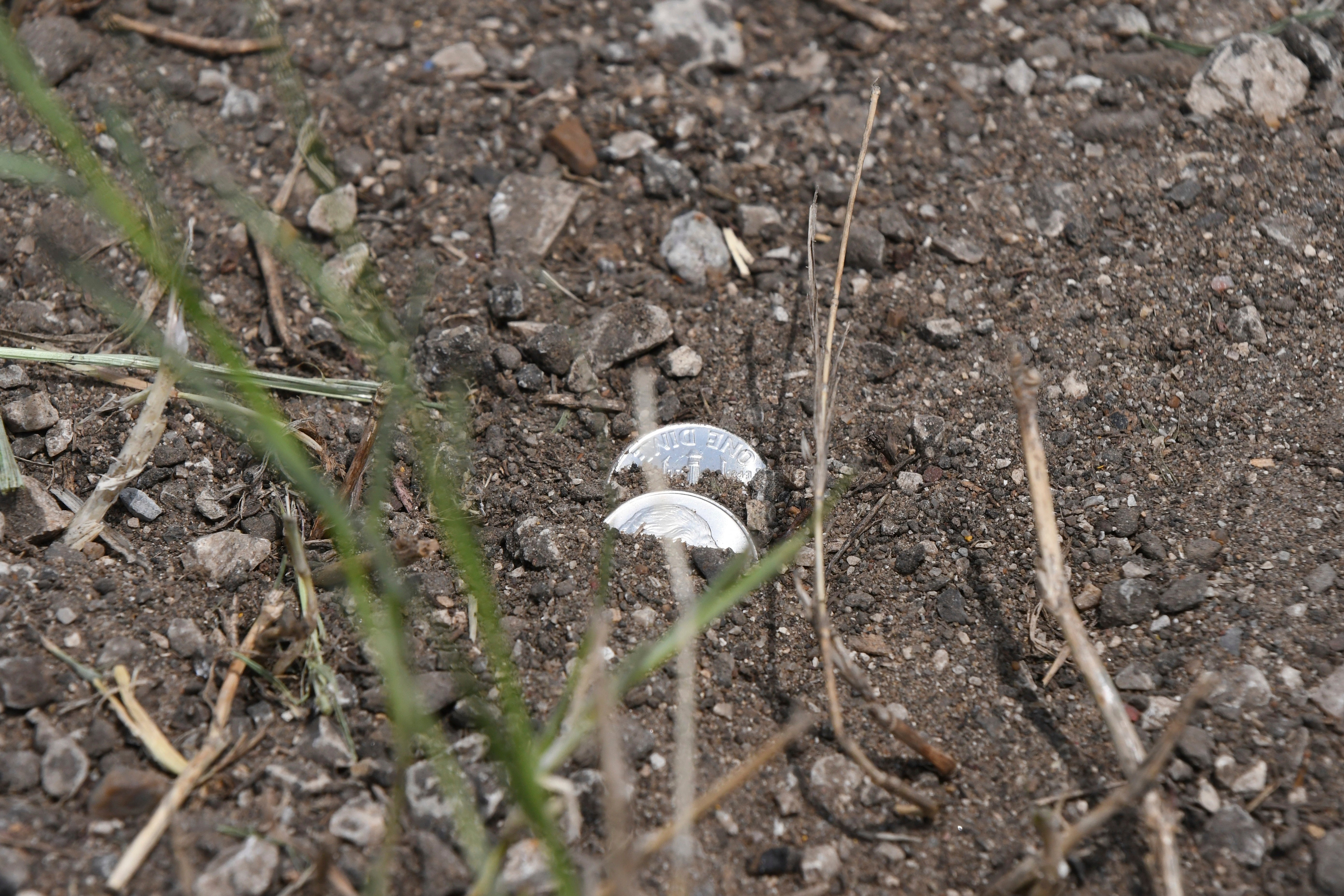 Dime Dump-Texas Highway