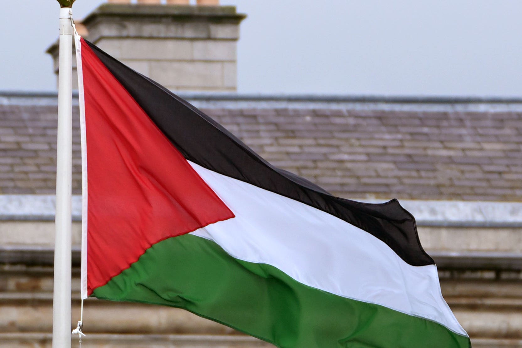 Palestine to raise flag at World Health Organization for first time after historic vote