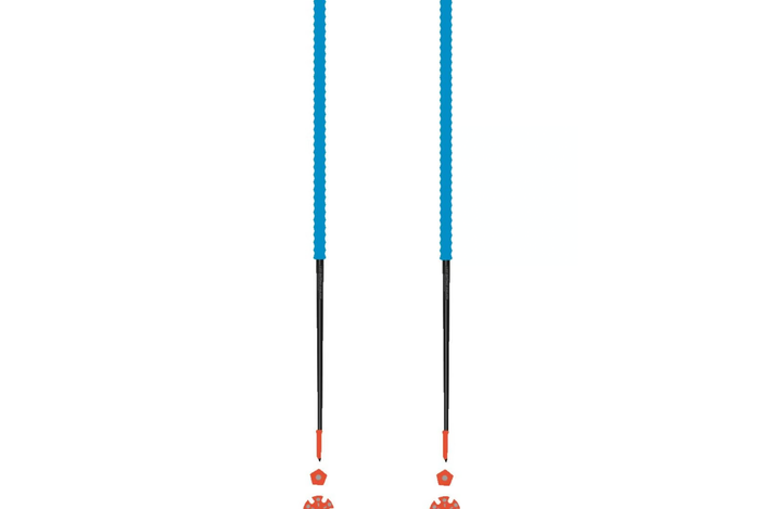 Les Batons d’Alain best walking poles review indybest