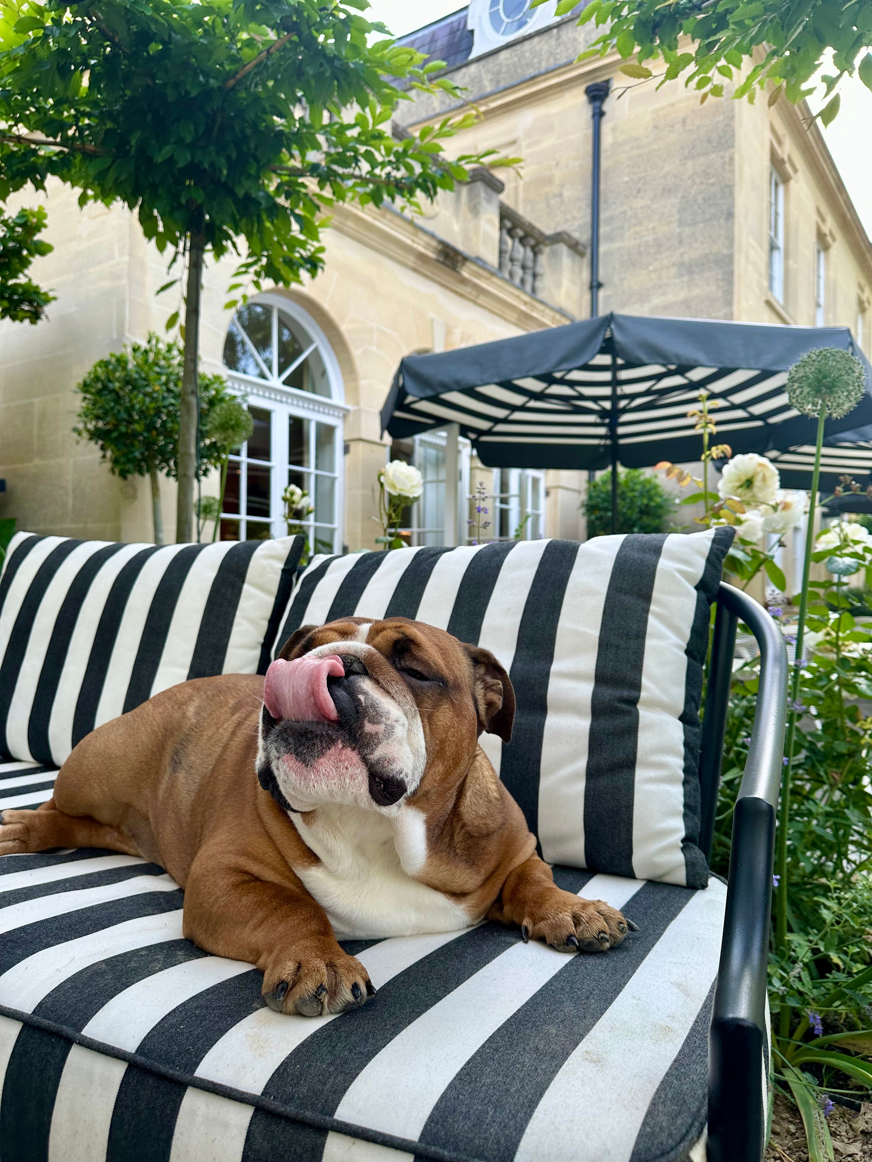 Relax on a sunny afternoon in the Royal Crescent’s walled garden