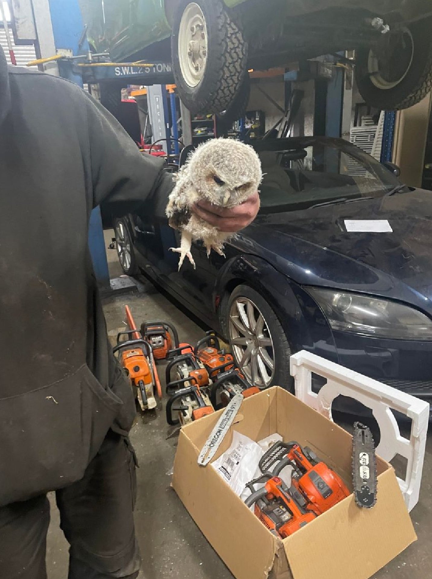 Prosecutors issued a photo of Carruthers holding an owl, with chainsaws in the background