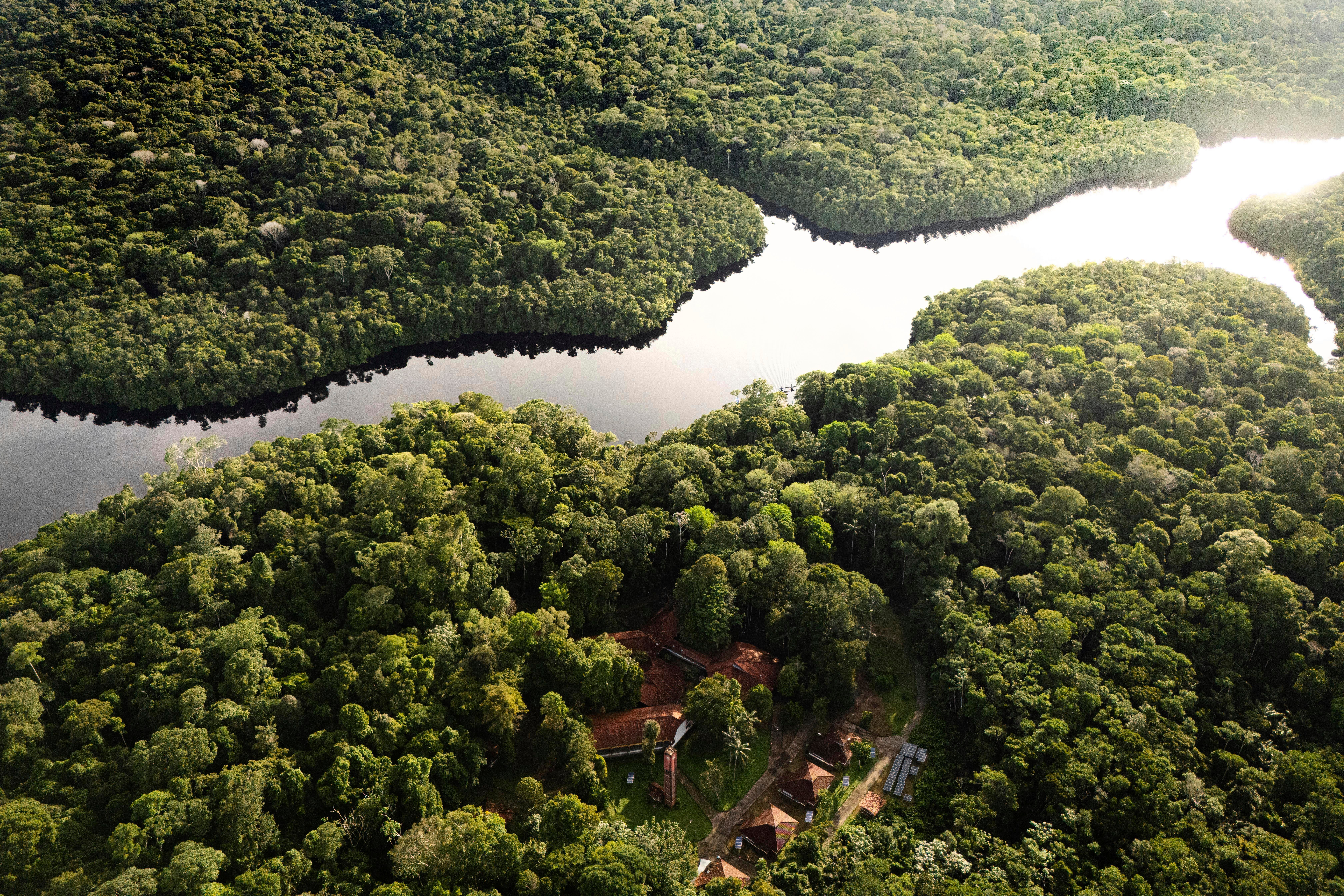 Climate Brazil Amazon Manatee