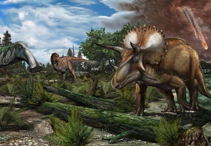 Dinosaurs might still be roaming the planet today if the Chicxulub asteroid hadn’t hit 66 million years ago. Researchers say their analysis of fossils shows populations weren’t on the decline before the extinction event.