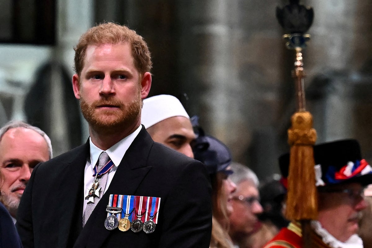 Prince Harry denies claim ‘punches thrown’ in heated argument with Prince Andrew