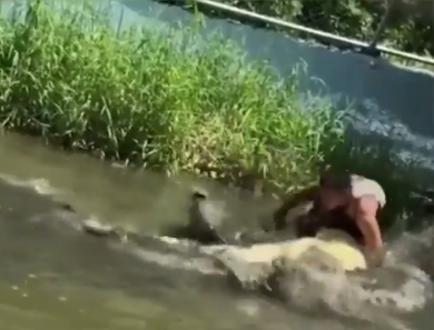 Mr Vista was rushed to a nearby hospital, where he reportedly received more than 50 stitches