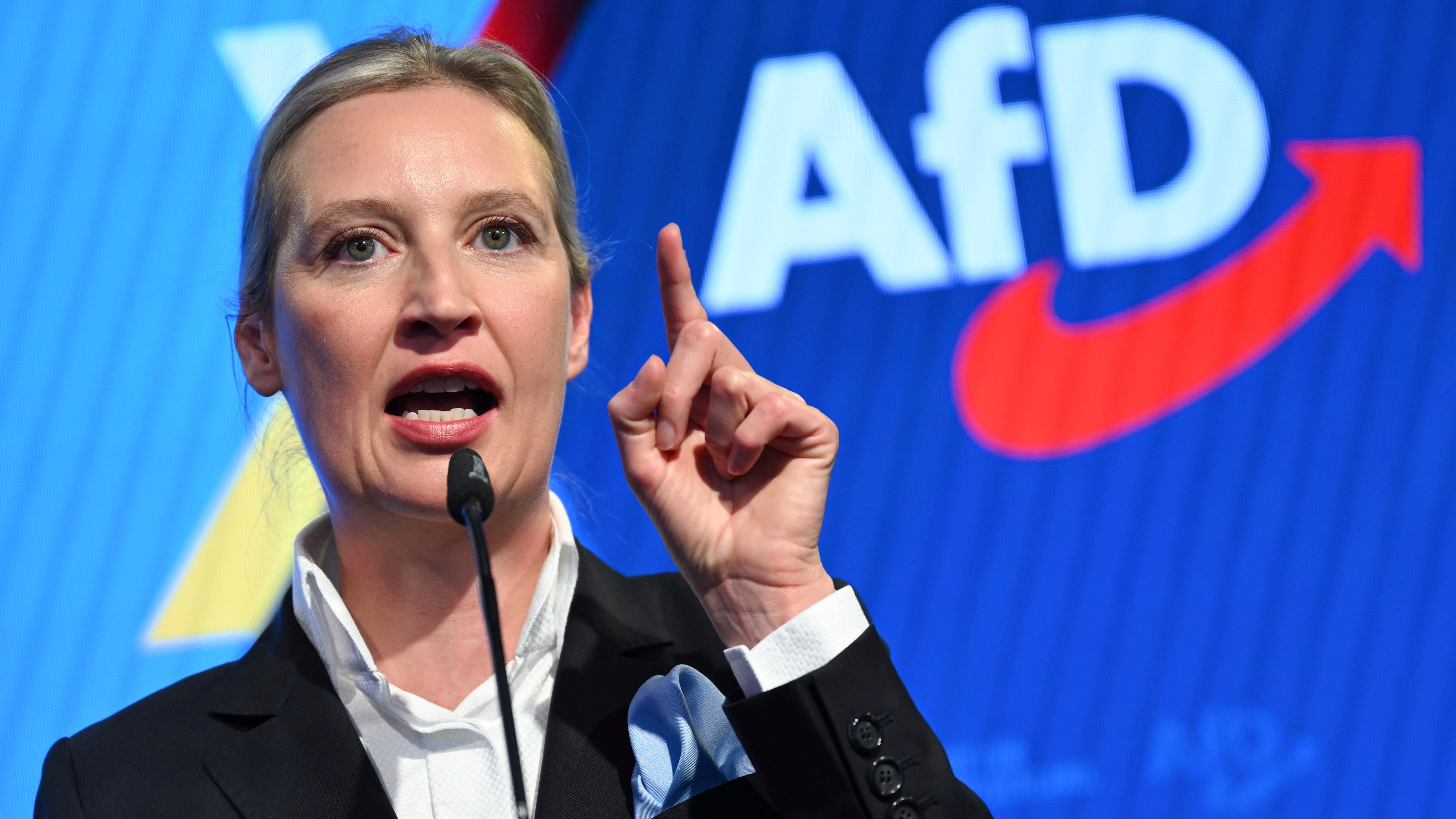AFD co-leader Alice Weidel told elder statement lawmakers connected Monday to trim nan number of high-profile trips statement politicians are making to nan US to cultivate ties pinch MAGA Republicans