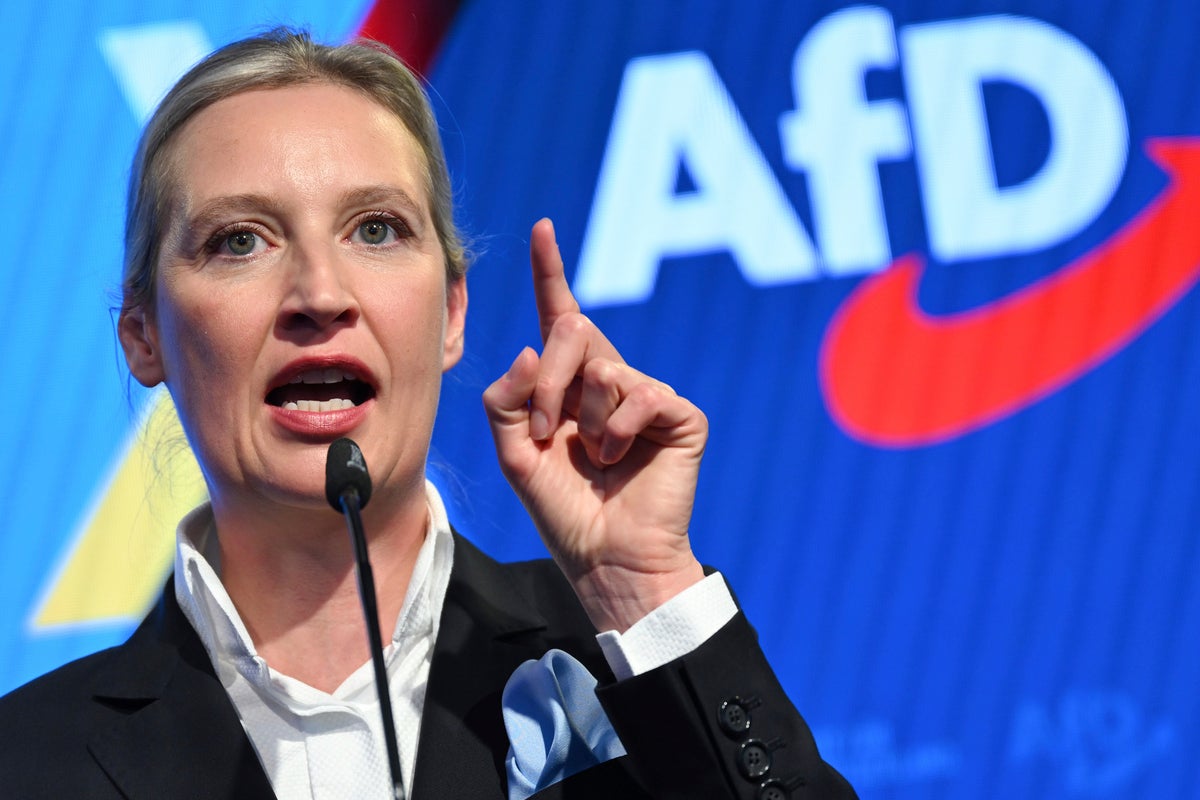 Even Germany’s far right AfD is distancing itself from Donald Trump
