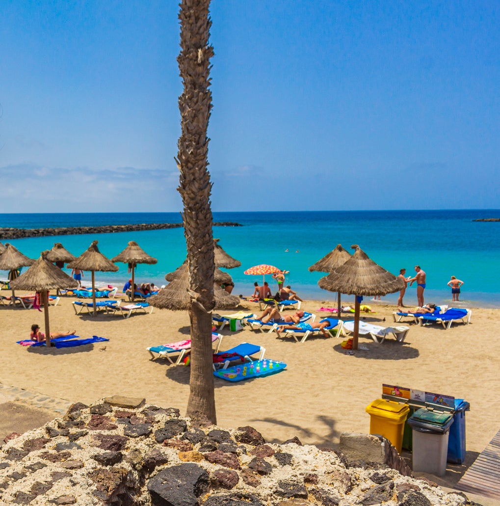 Sir Anthony is found next to the beach of Playa del Camisón