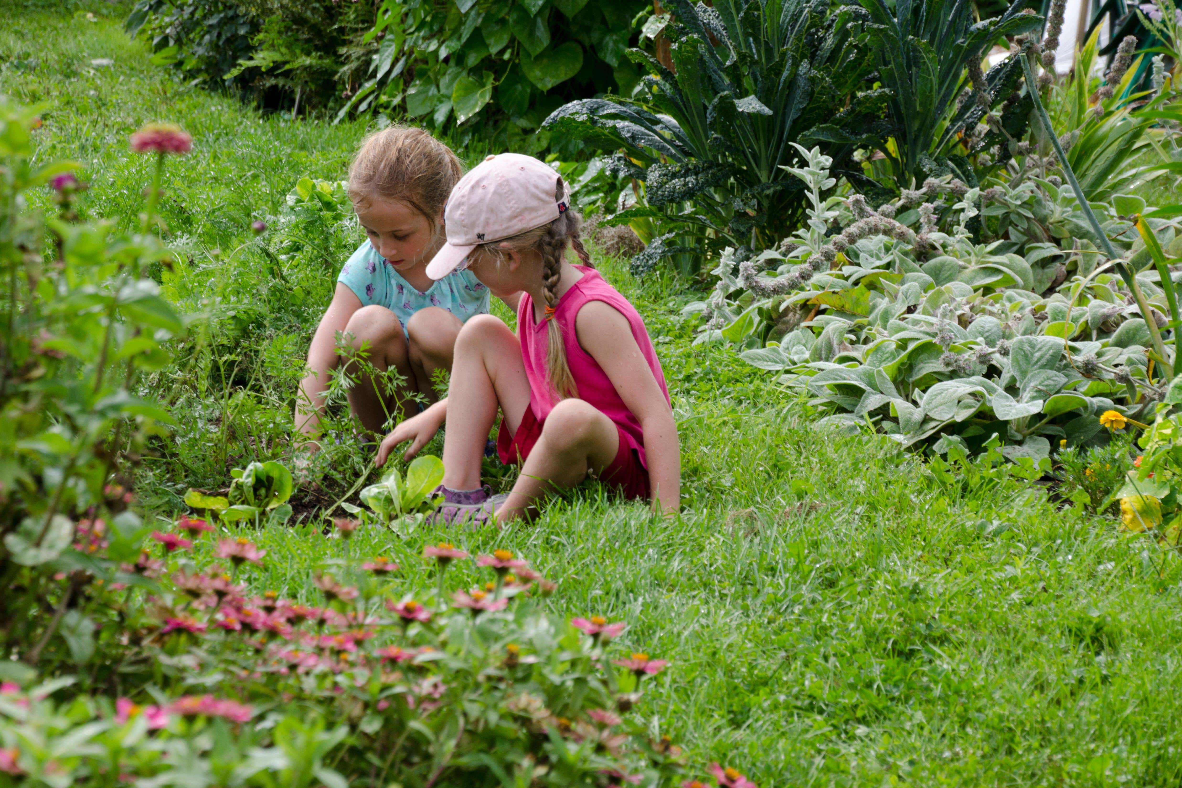 From planting peas to giving them their own patch, these simple tips will help your children fall in love with gardening (Alamy/PA)