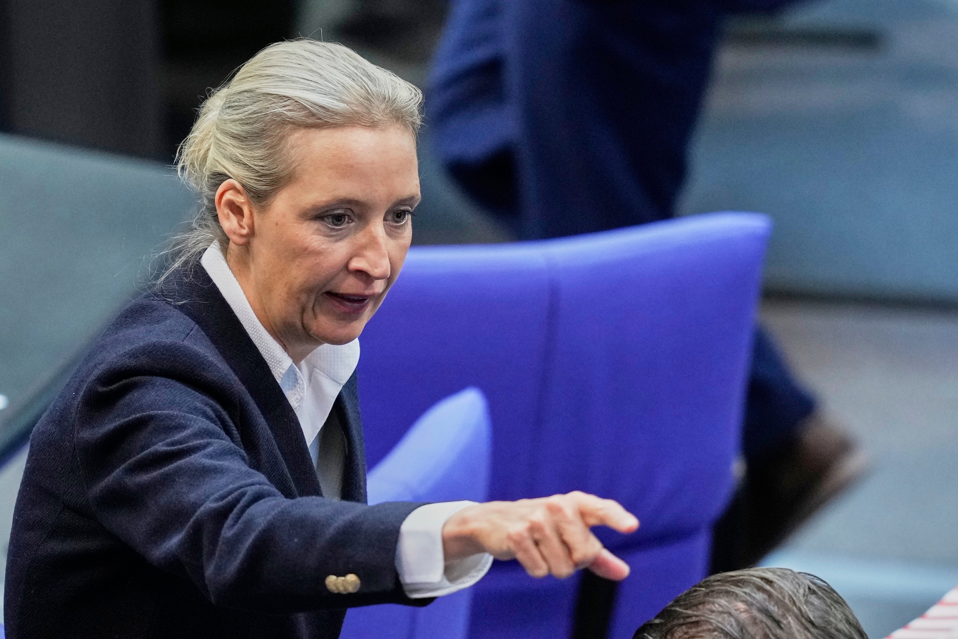 AfD co-leader Alice Weidel
