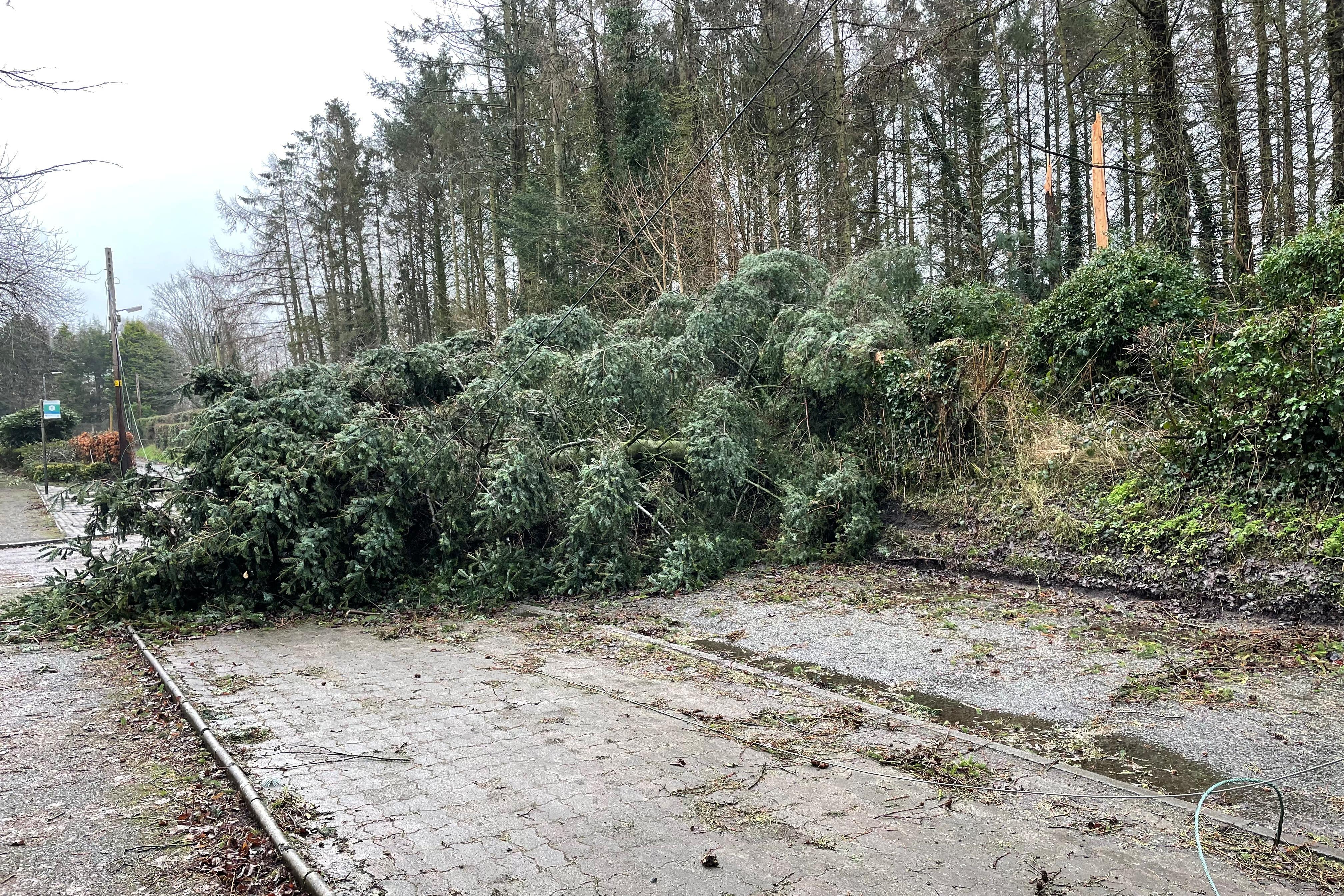 Storm Eowyn caused damage earlier this year (Jonathan McCambridge/PA)