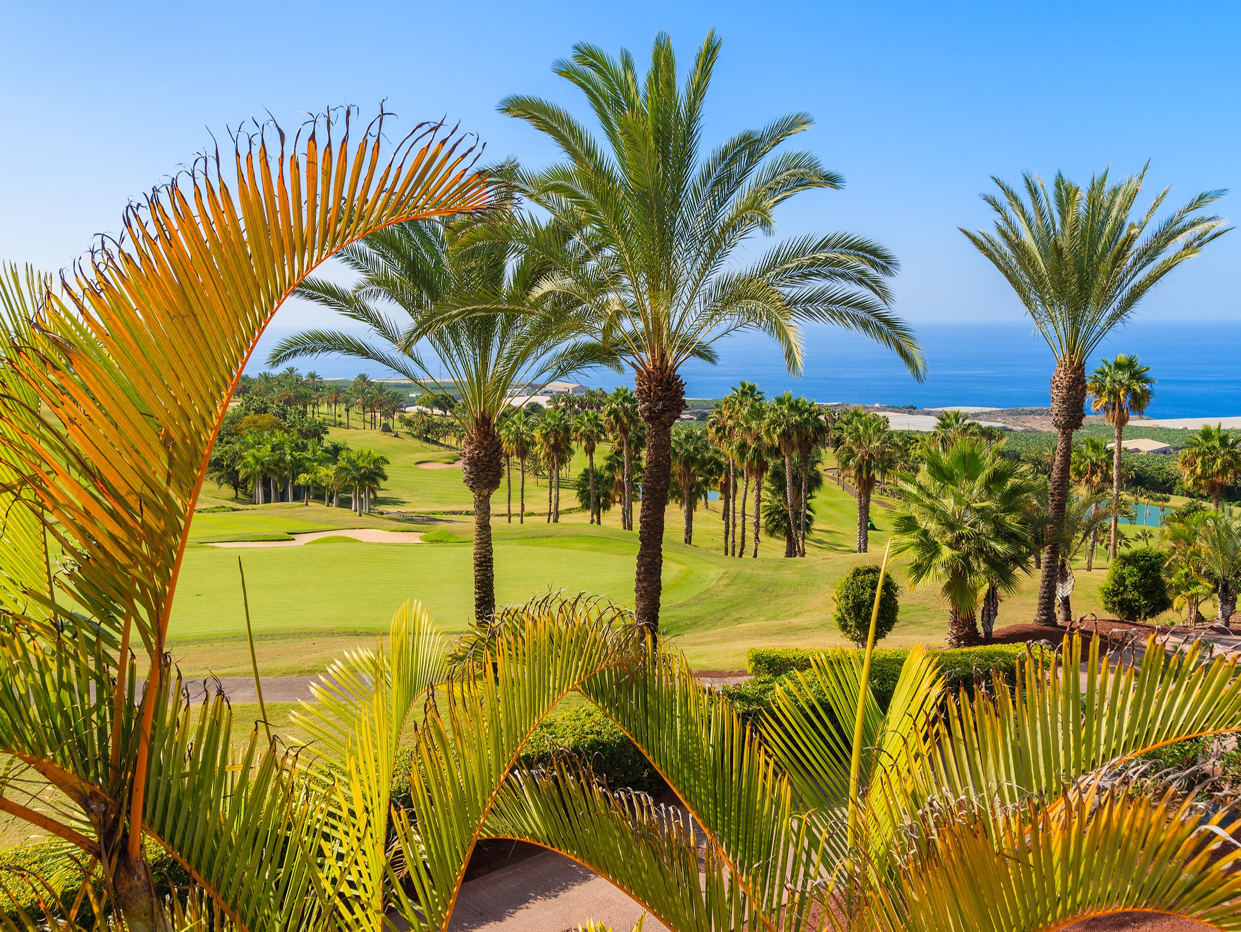 Famed golf course designer Pepe Gancedo blended the former banana plantation into the Championship Course at Golf Costa Adeje