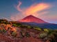 Tenerife tourists warned as island prepares to activate largest ever volcano drill