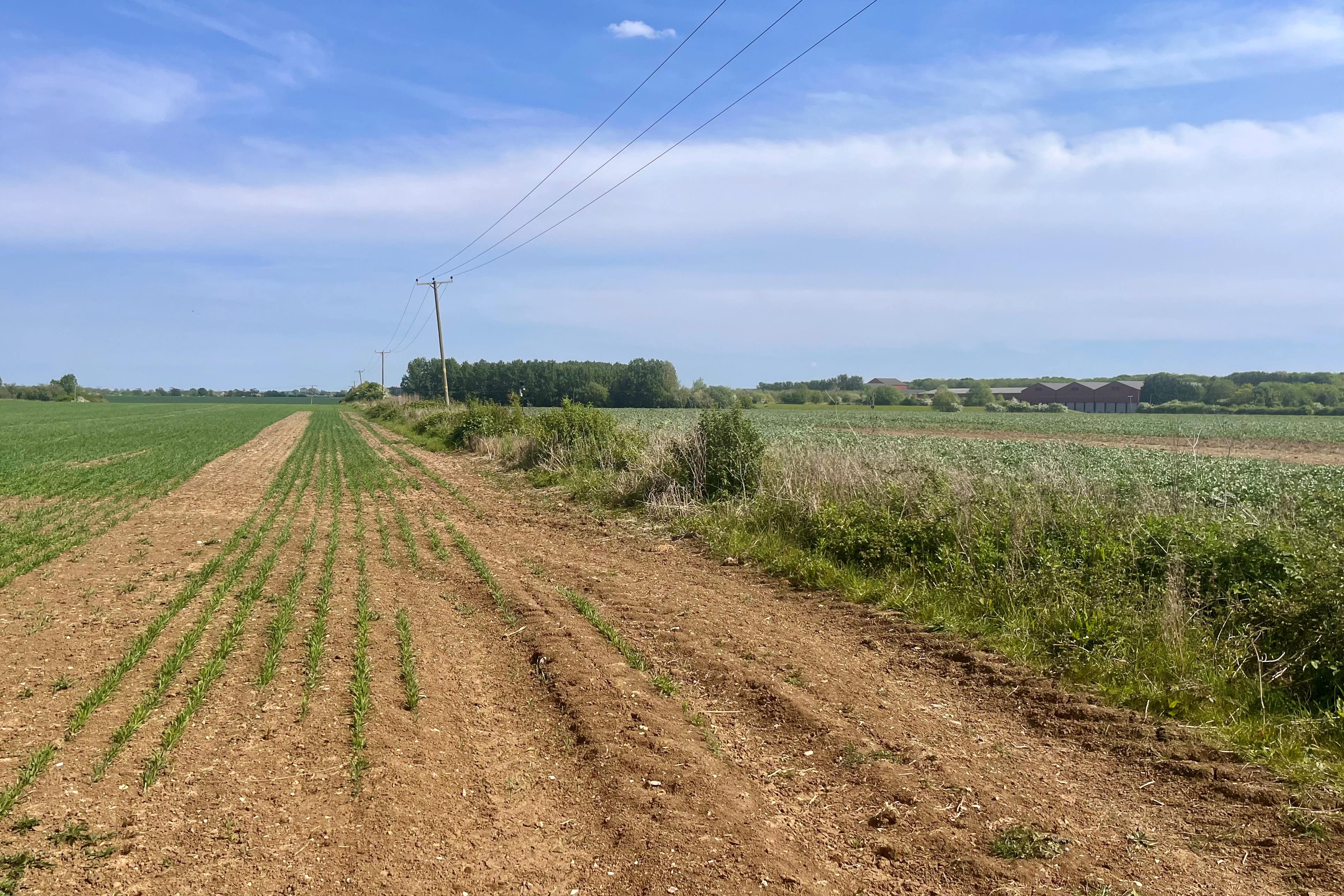 The lack of spring rainfall has raised the risk of summer drought