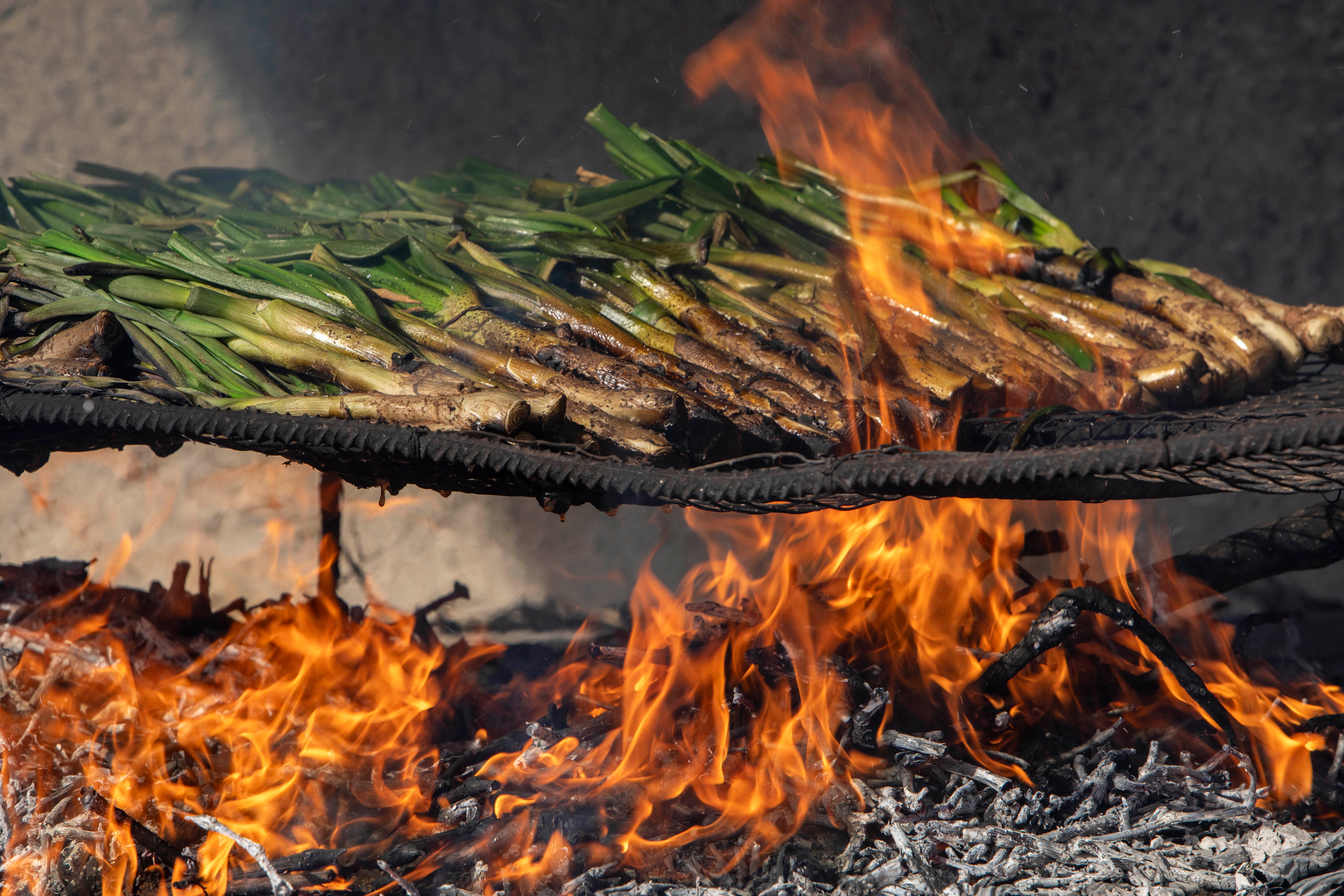 Head to Valls during the calçotada festival and sample these large, sweet onions, served with meat and wine