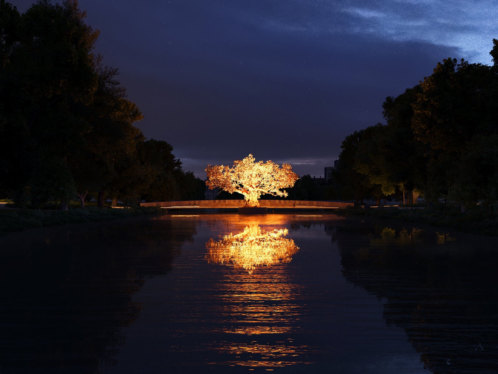 The illuminated oak tree at night as part of the Tom Stuart-Smith and Jamie Fobert Architects proposal