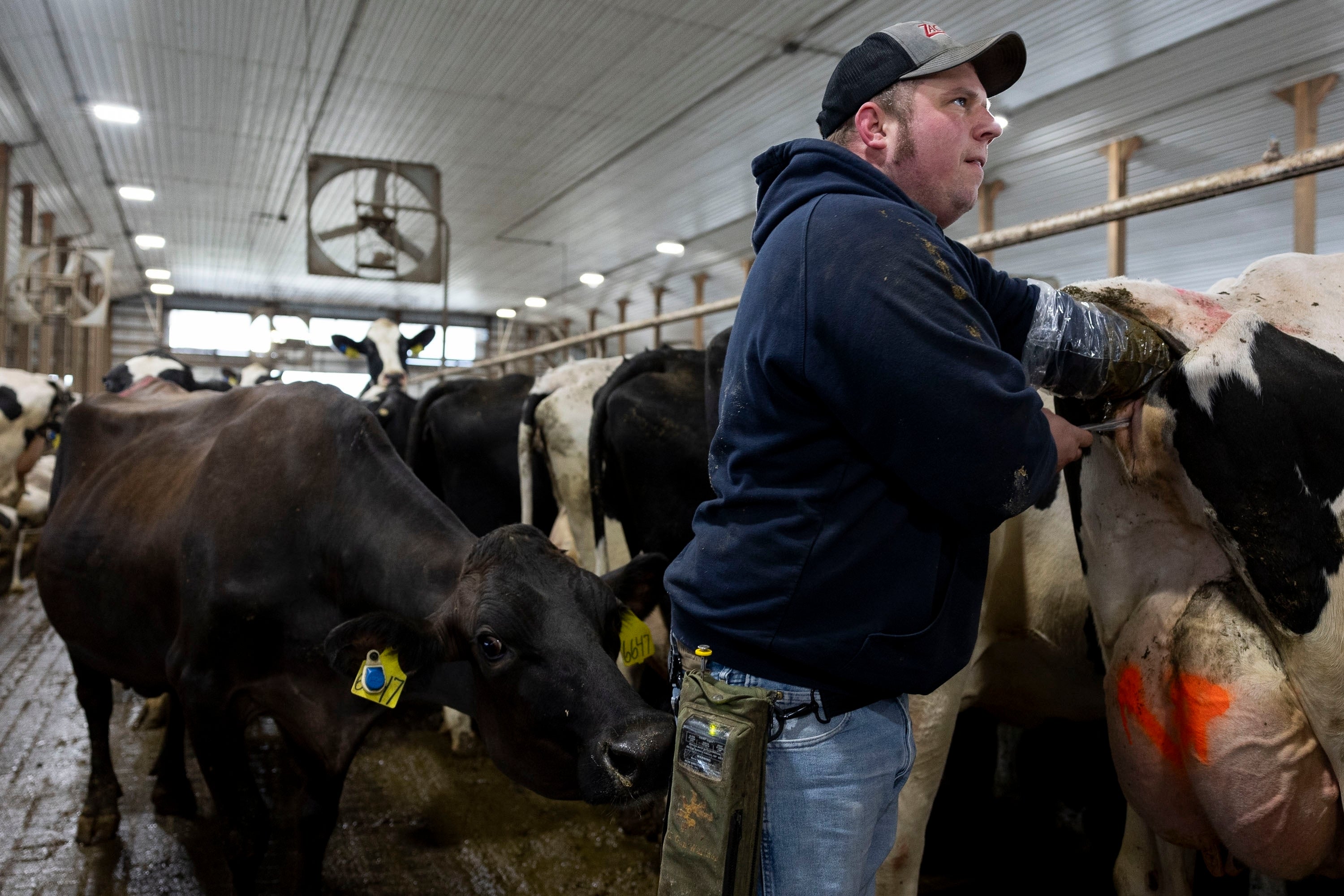 Less farmland is going for organic crops as costs and other issues take root