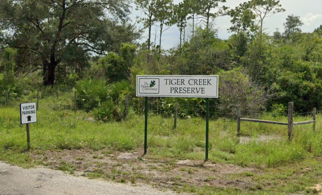 Officials from the Florida Fish and Wildlife Conservation Commission said that on Tuesday afternoon a woman was attacked and killed by an alligator near the mouth of Tiger Creek at Lake Kissimmee