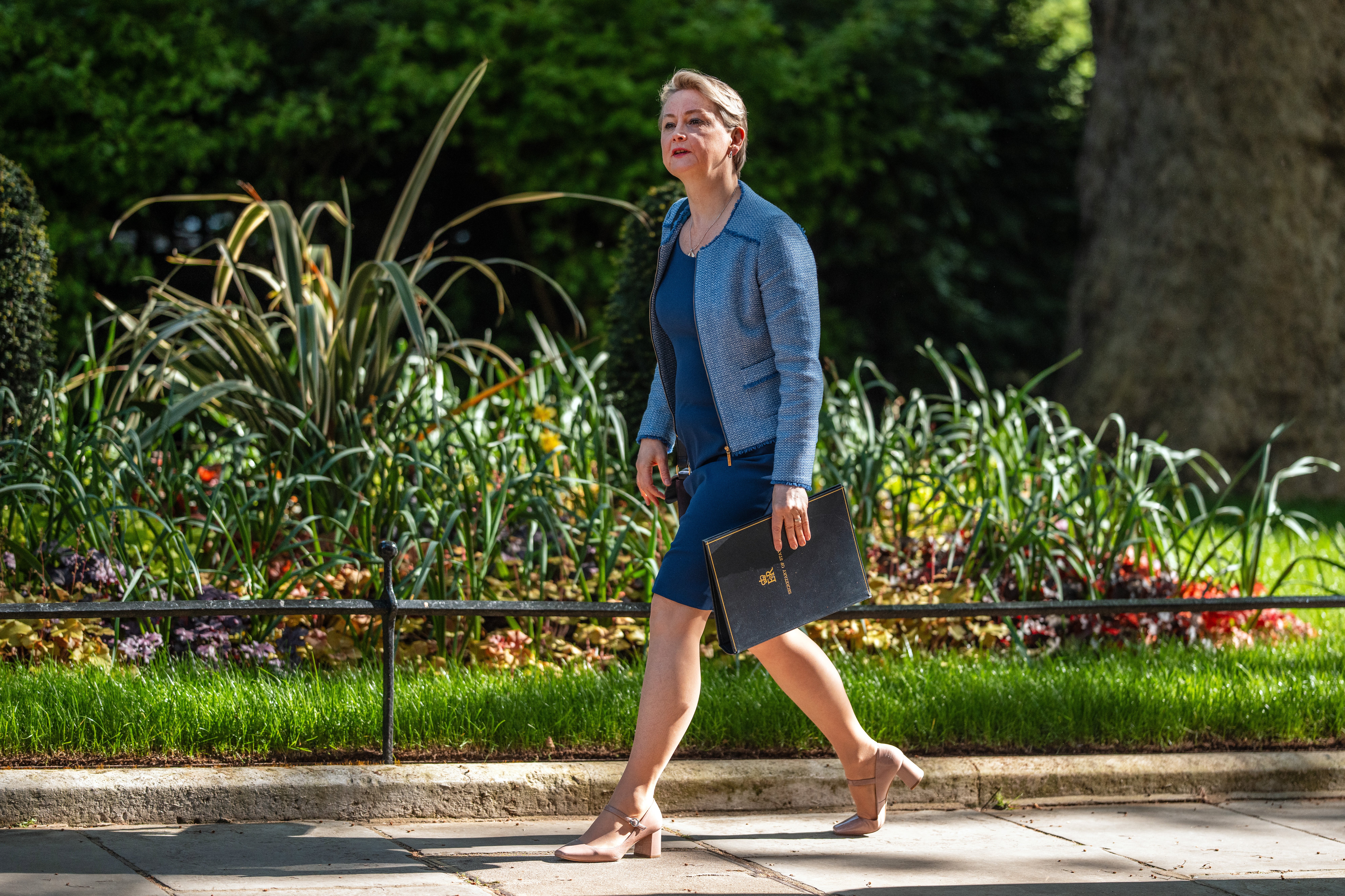 Home secretary Yvette Cooper is expected to fight the legal challenge to British citizenship rules