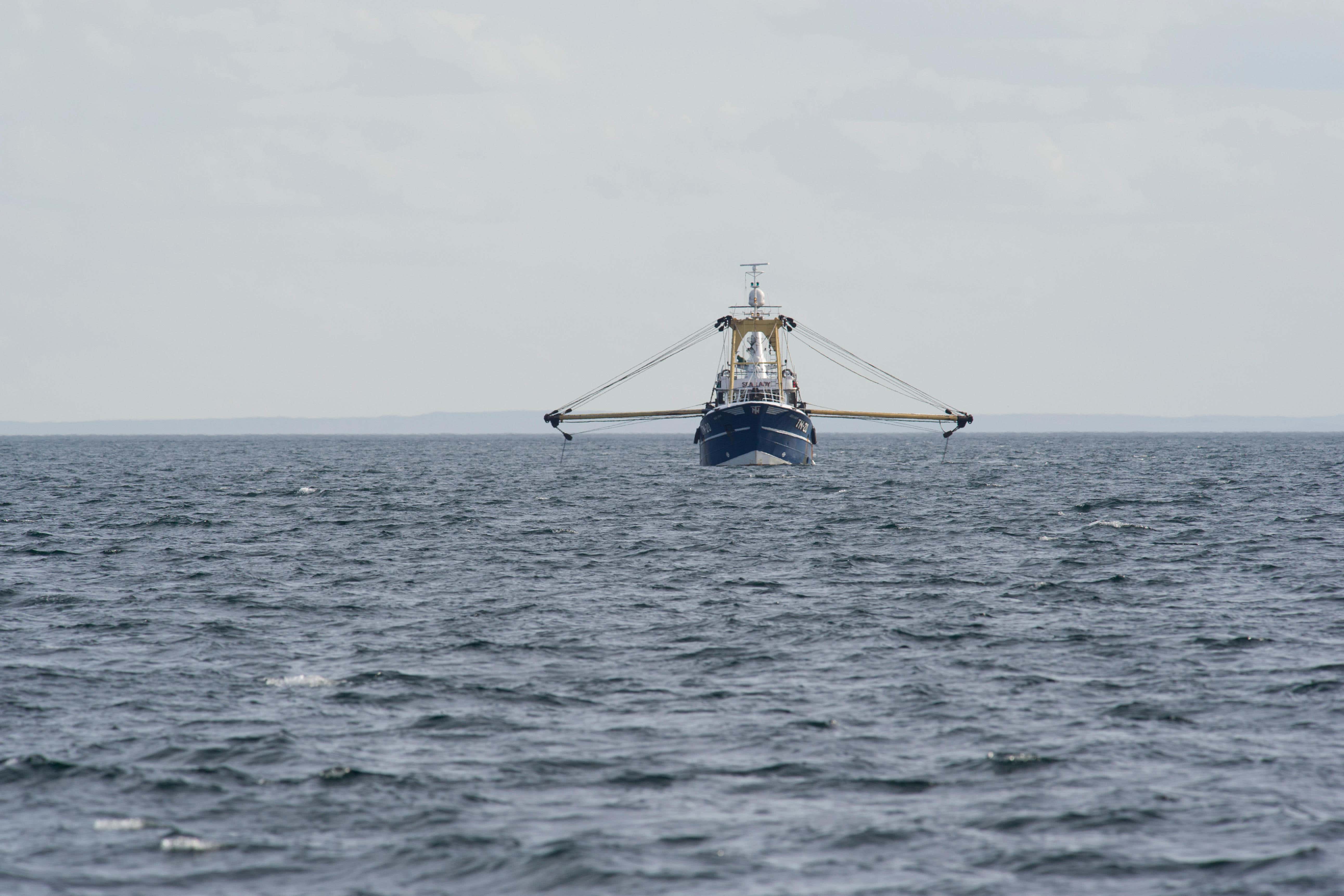 A year ago, the Court of Session backed a ruling which declared licensing decisions to allow scallop dredging were unlawful (Alamy/PA)