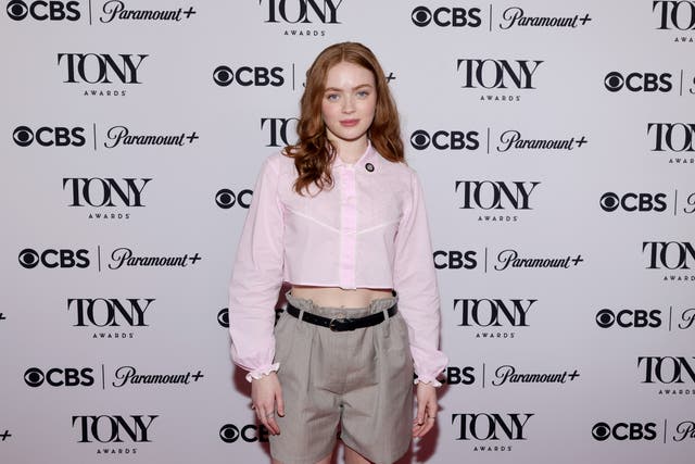 <p>Sadie Sink is back on Broadway in 'John Proctor is the Villain'</p>
