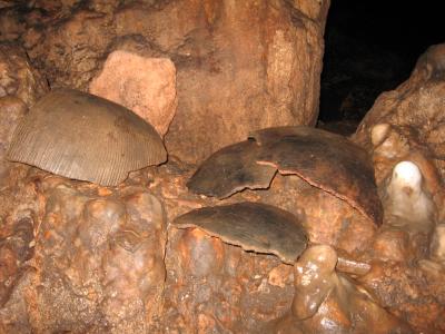 Mayan pottery found in a Yucatán Peninsula cave