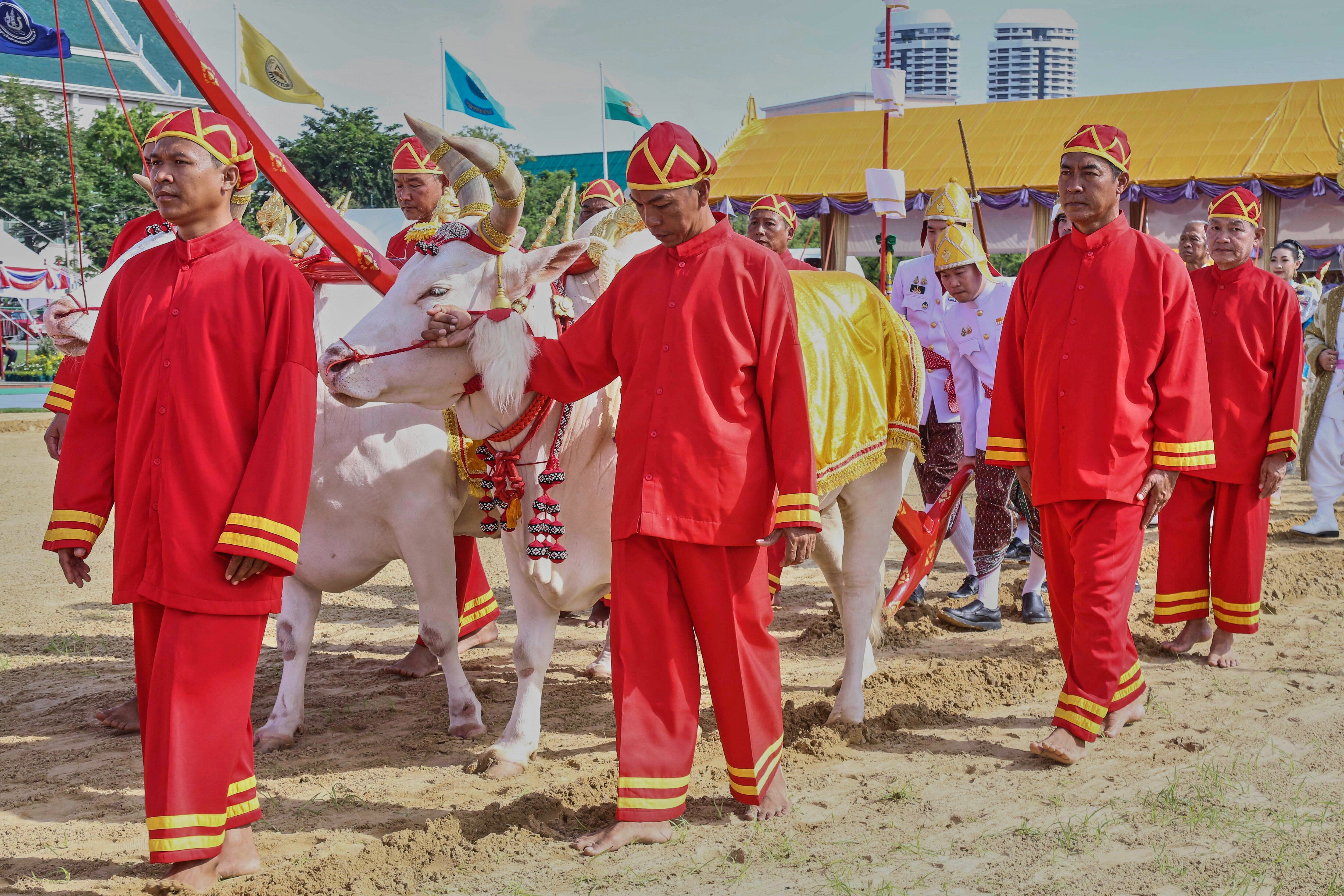 Thailand Plowing Ceremony