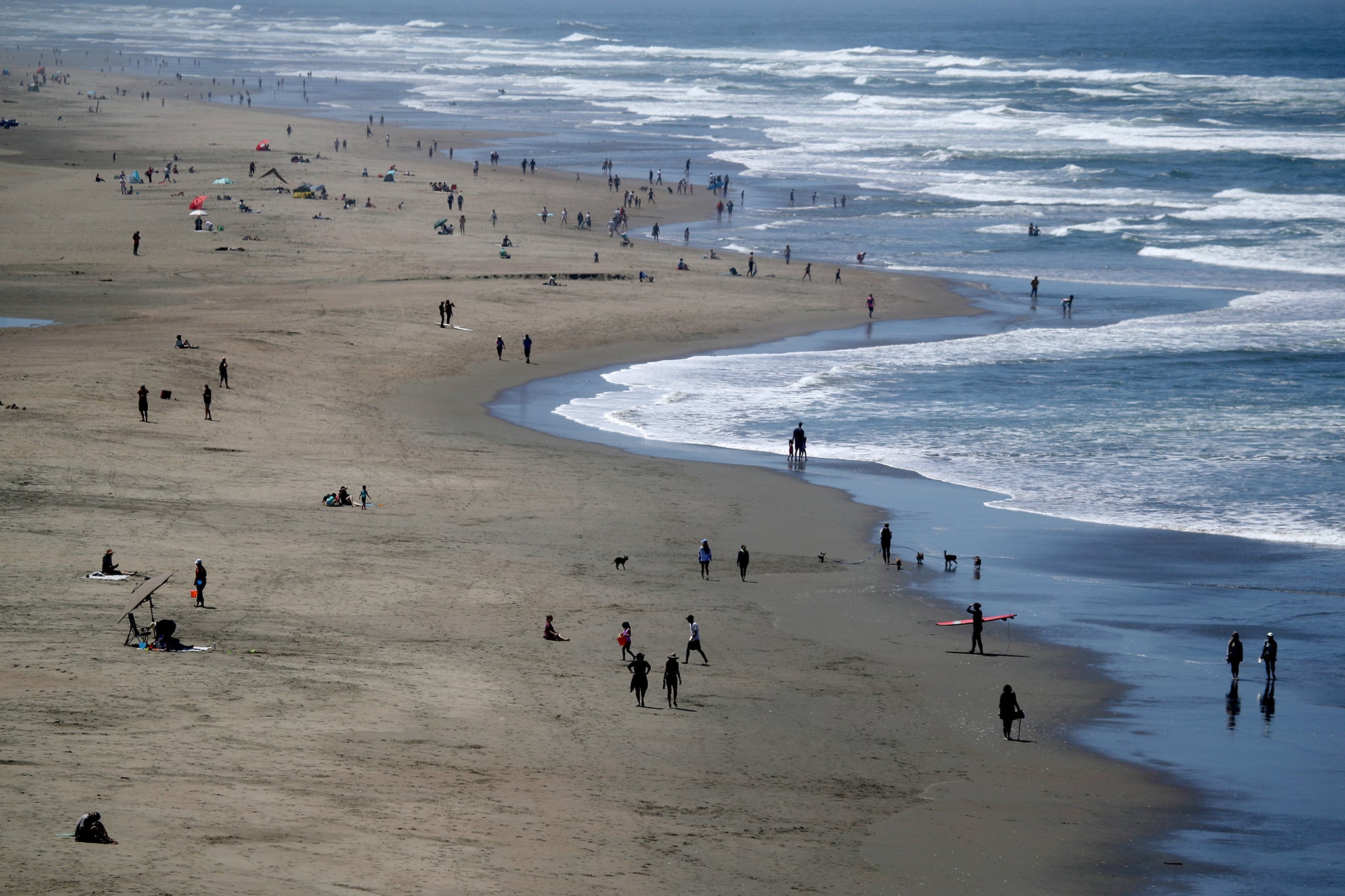A middle-aged man collapsed in the water at Ocean Beach during a dog rescue mission gone wrong