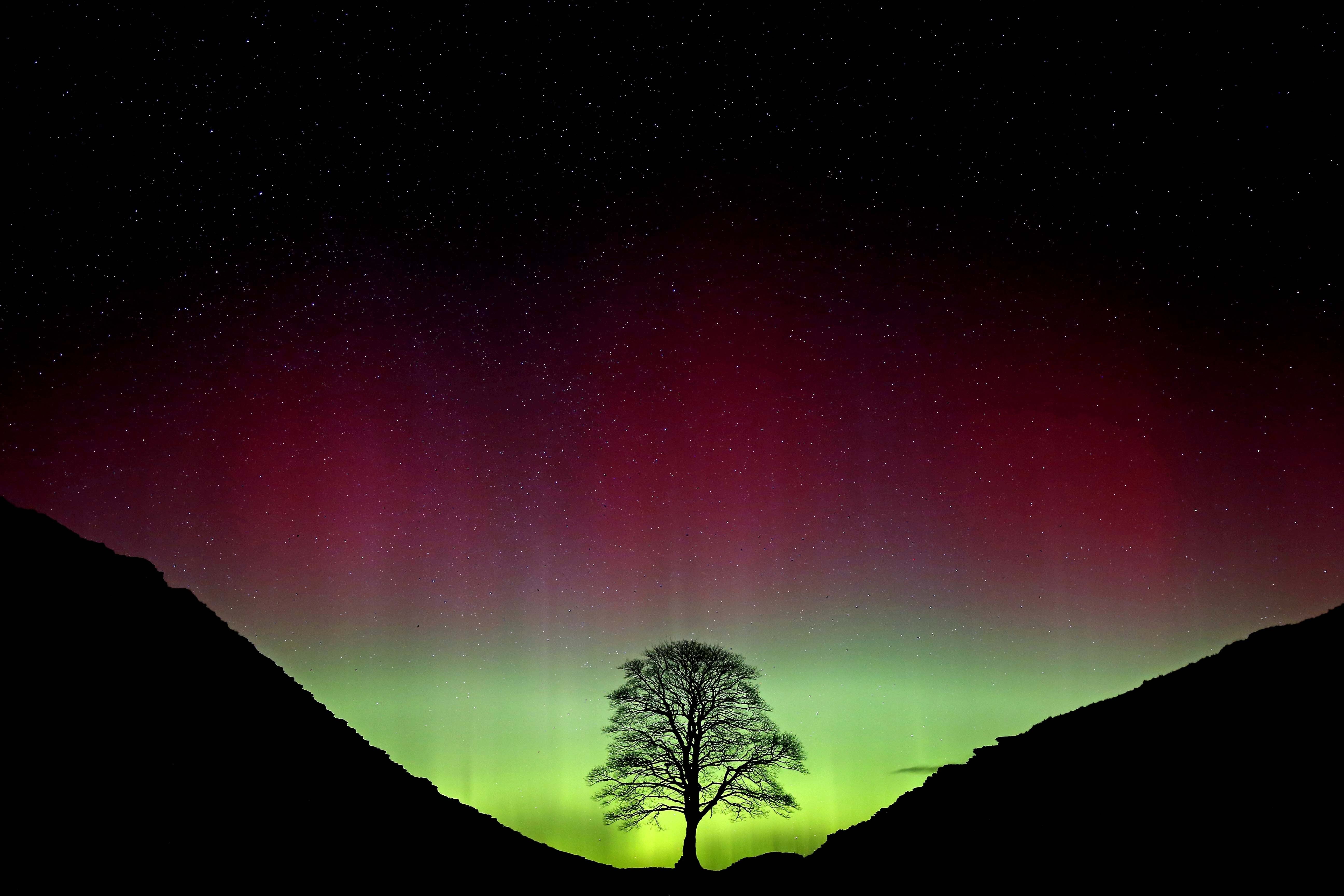 The Sycamore Gap at Hadrian’s Wall in Northumberland