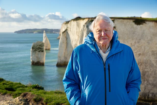 David Attenborough says ‘if we save the sea, we save our world’ (Silverback Films and Open Planet Studios/Keith Scholey/PA)