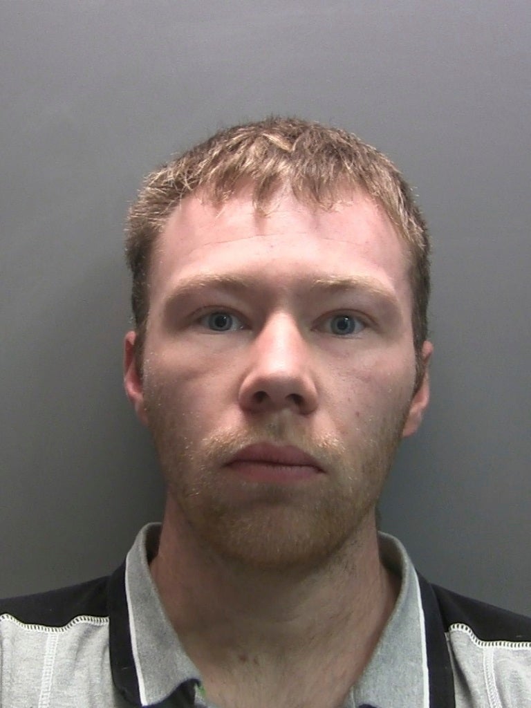 Britain Sycamore Gap Tree Trial