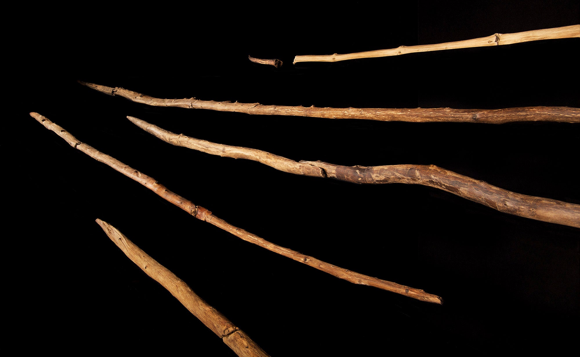 This 2014 photo provided by researchers shows a set of wooden hunting spears estimated to be about 200,000 years old discovered in a coal mine in the German town of Schöningen