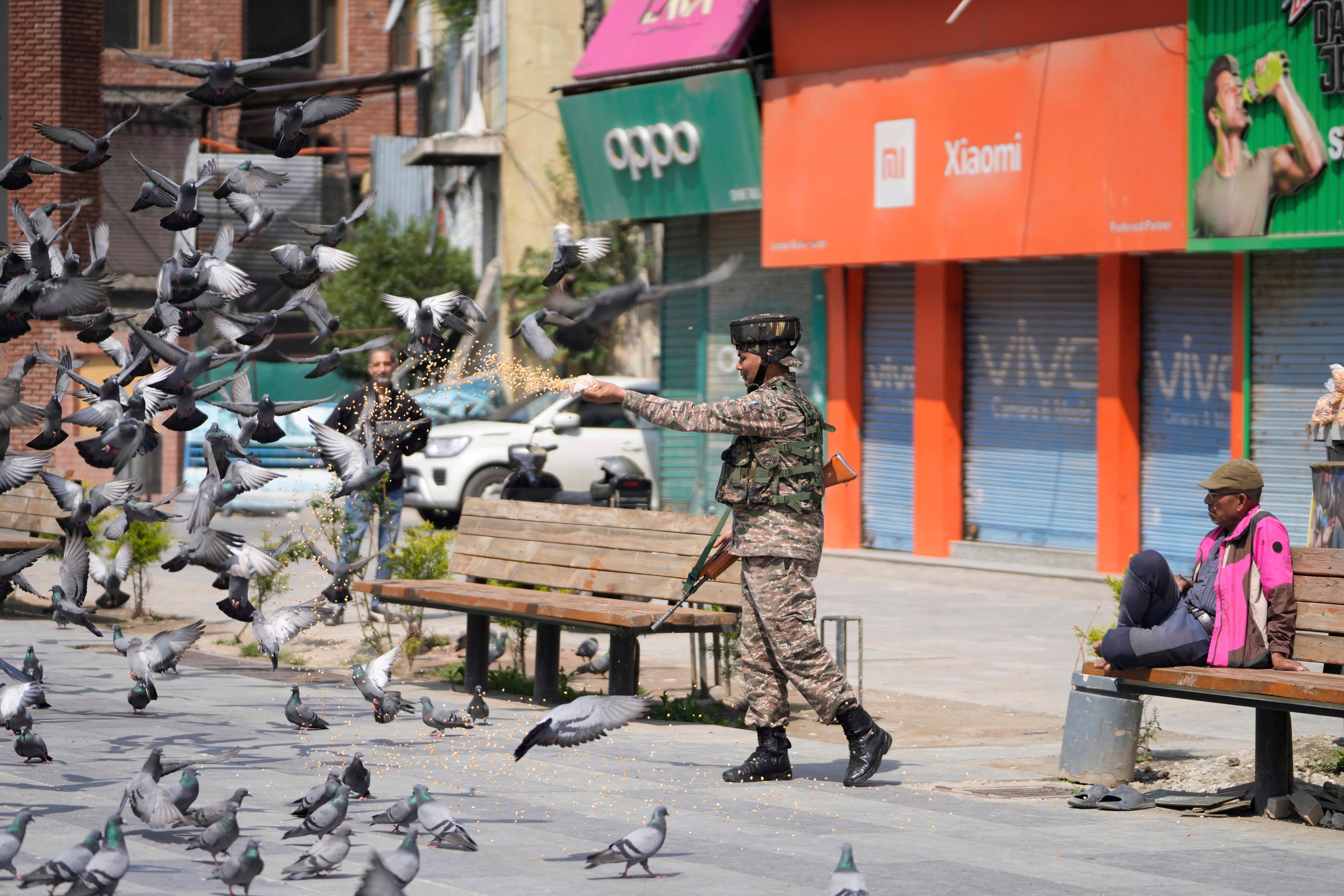 An Indian soldier feeds pigeons at a market, day after India and Pakistan agreed to a ceasefire