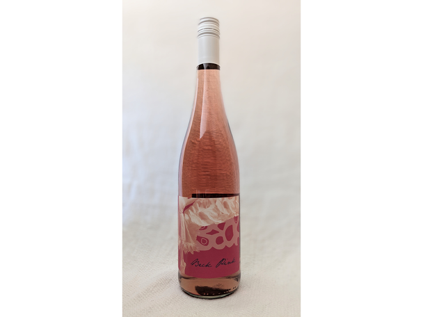 Best rose IndyBest review Judith Beck pink, 2024